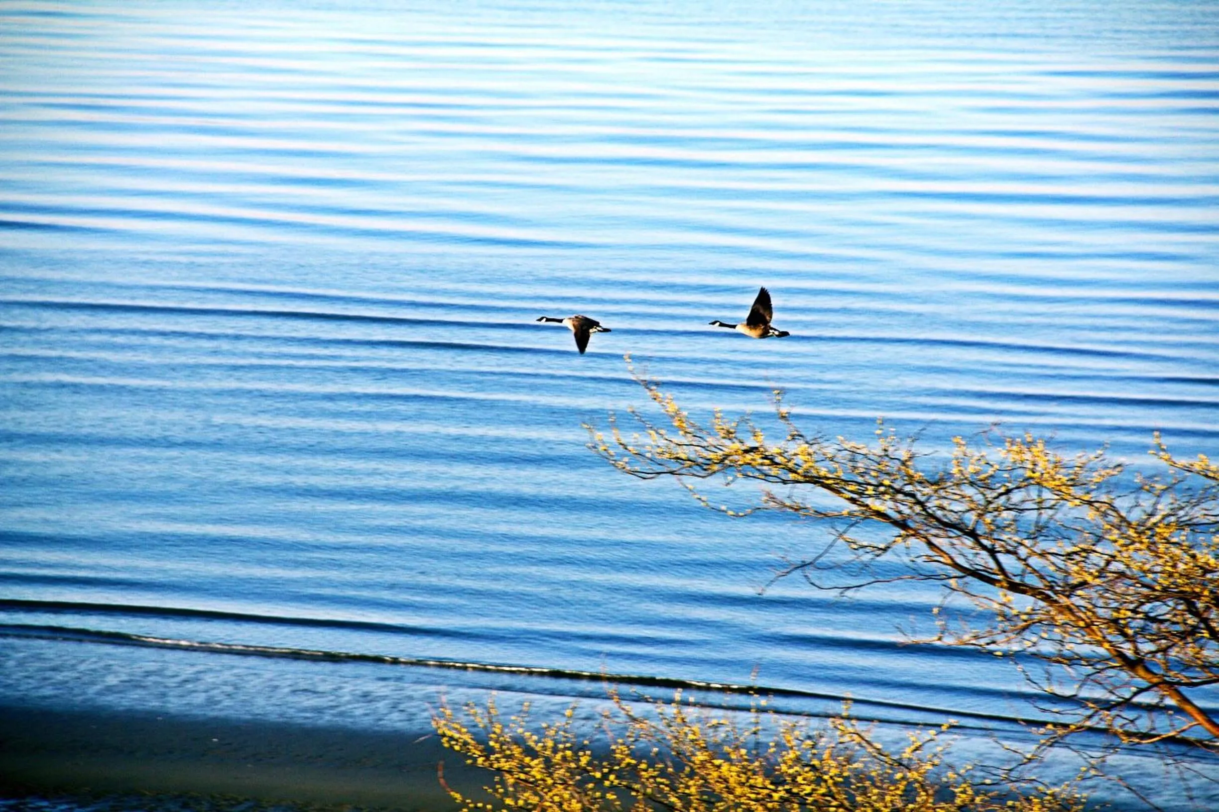 Day in Star of the Sea guest house