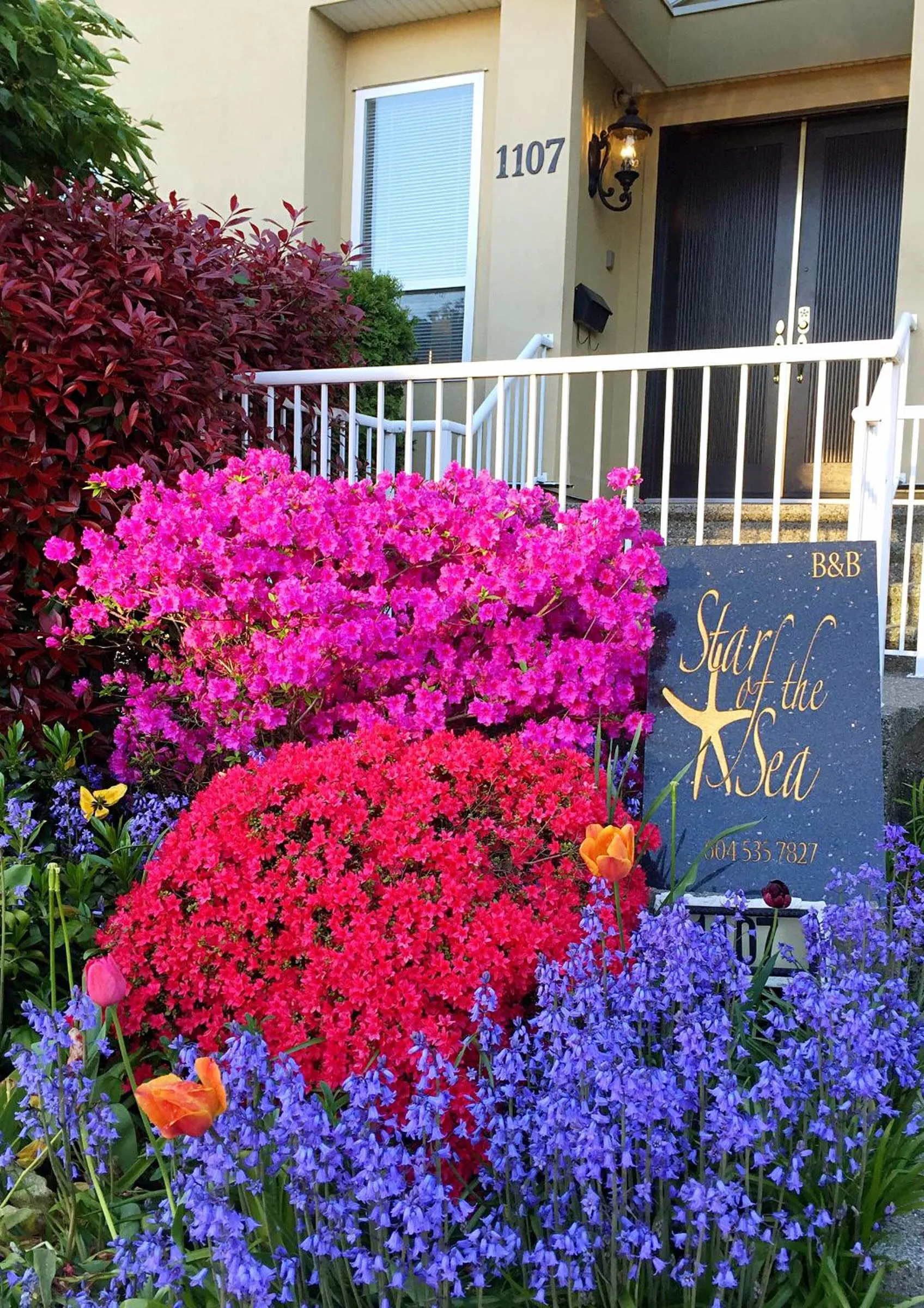 Facade/entrance in Star of the Sea guest house
