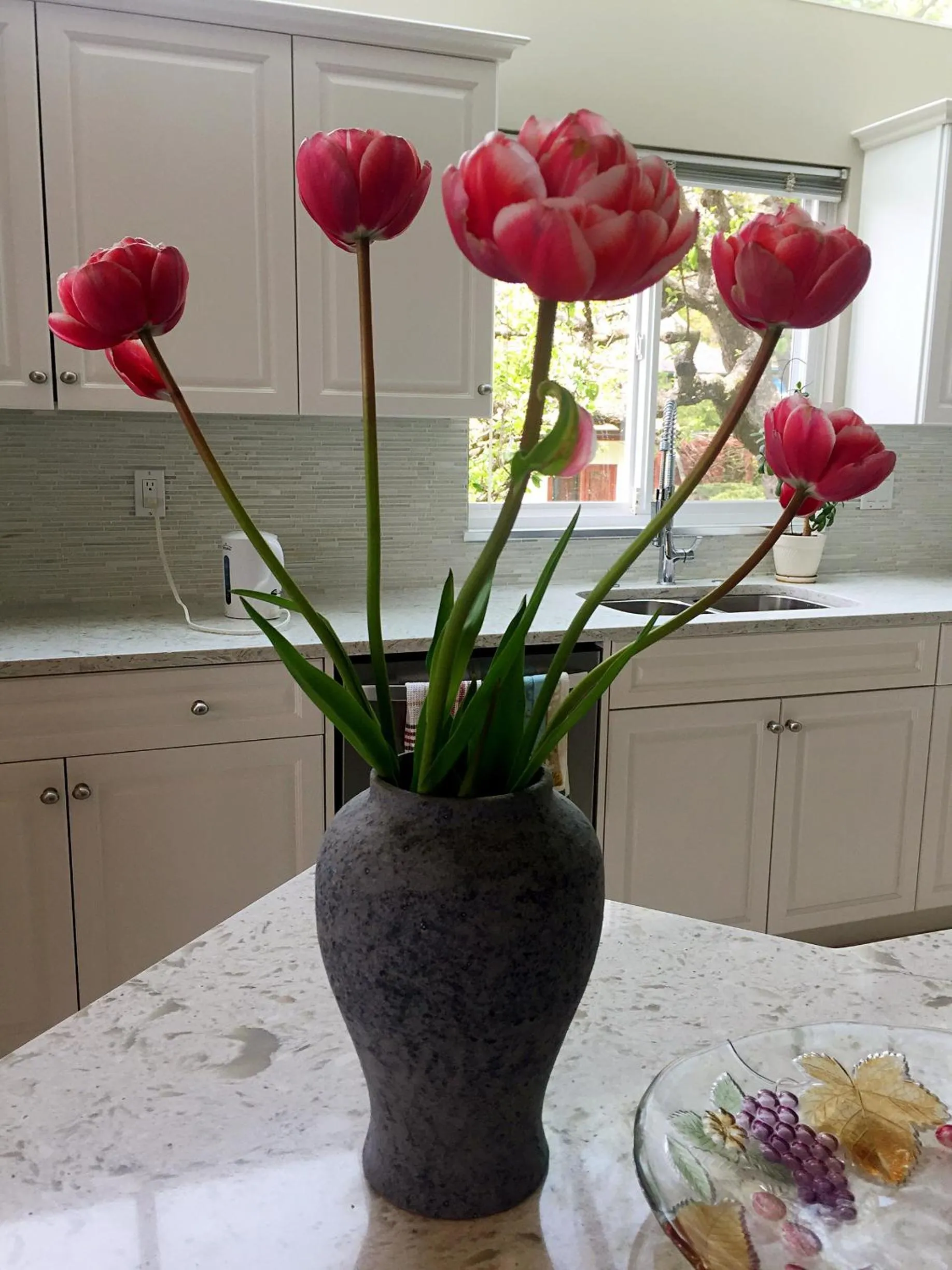 Decorative detail in Star of the Sea guest house