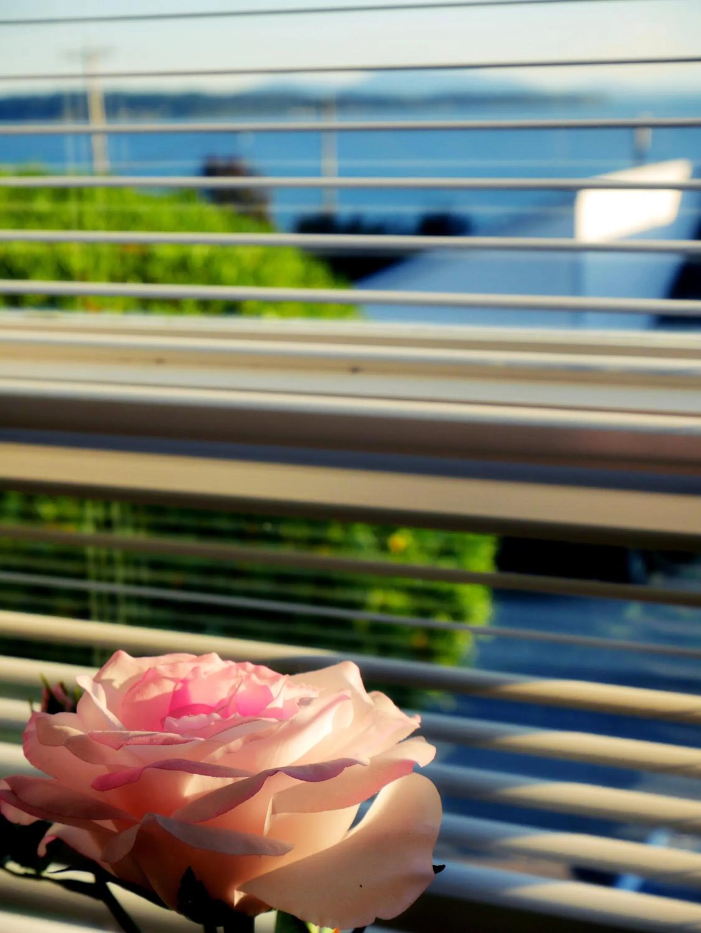 Decorative detail in Star of the Sea guest house