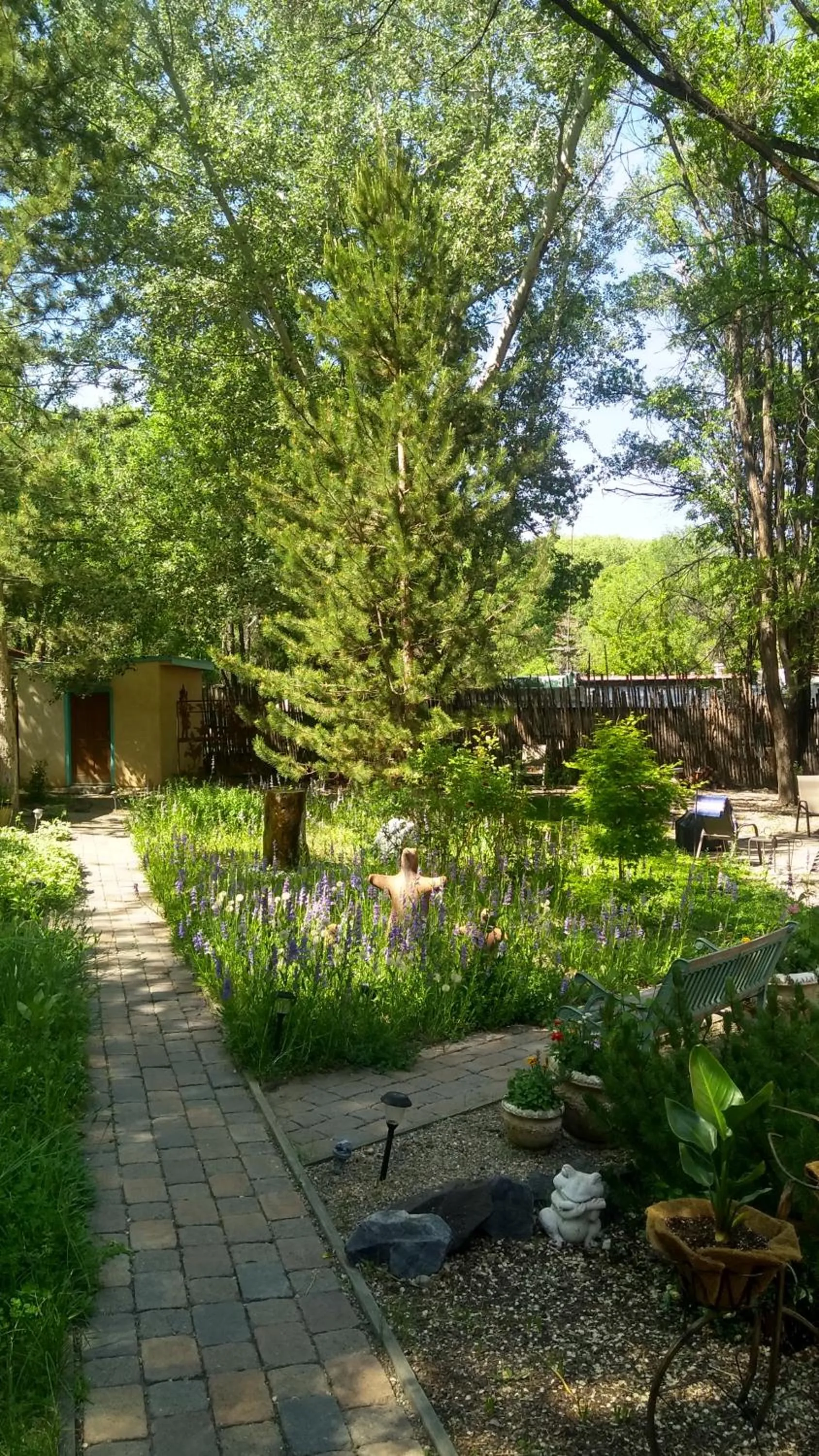 Garden in Dreamcatcher B&B