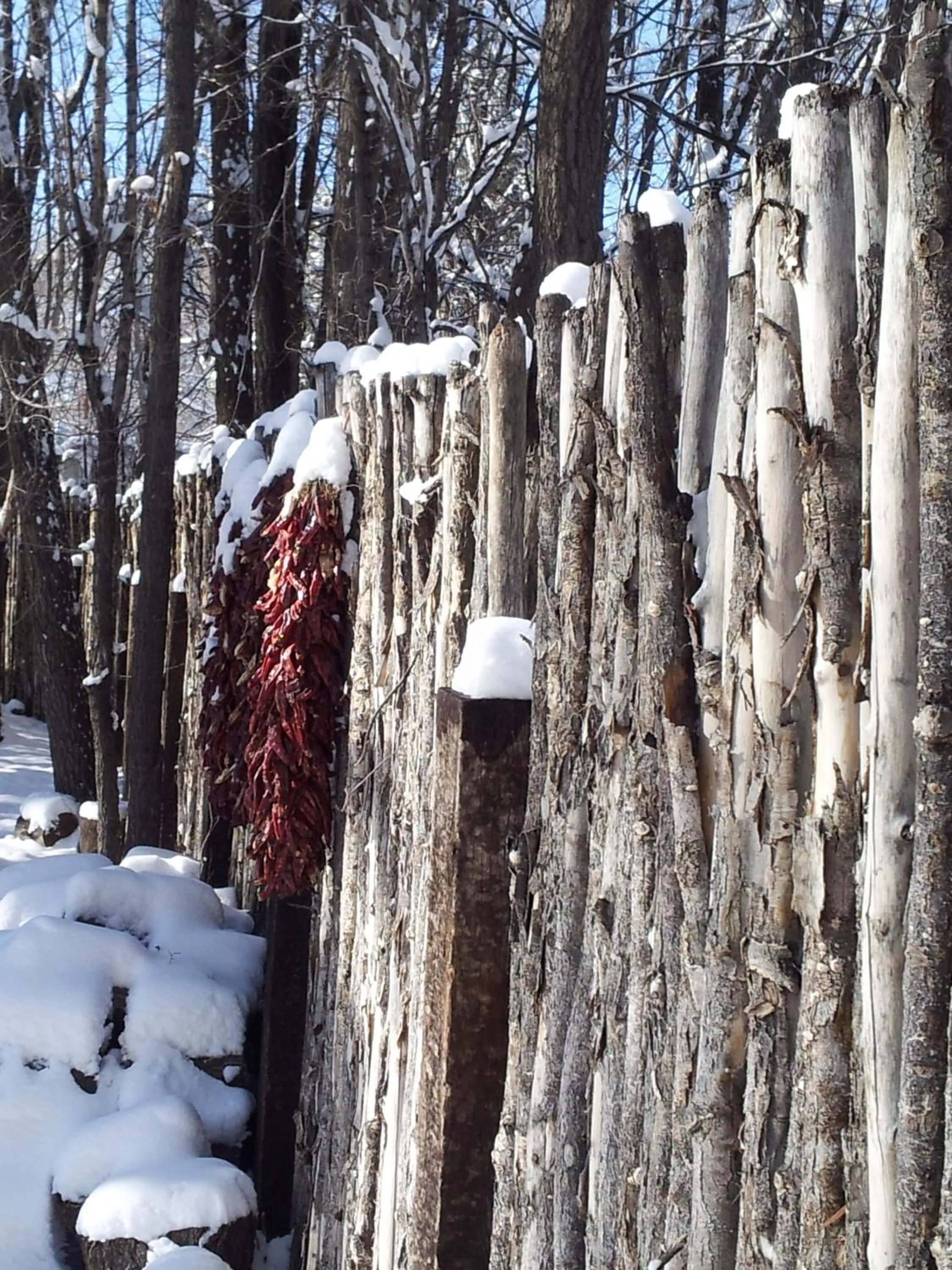 Facade/entrance in Dreamcatcher B&B