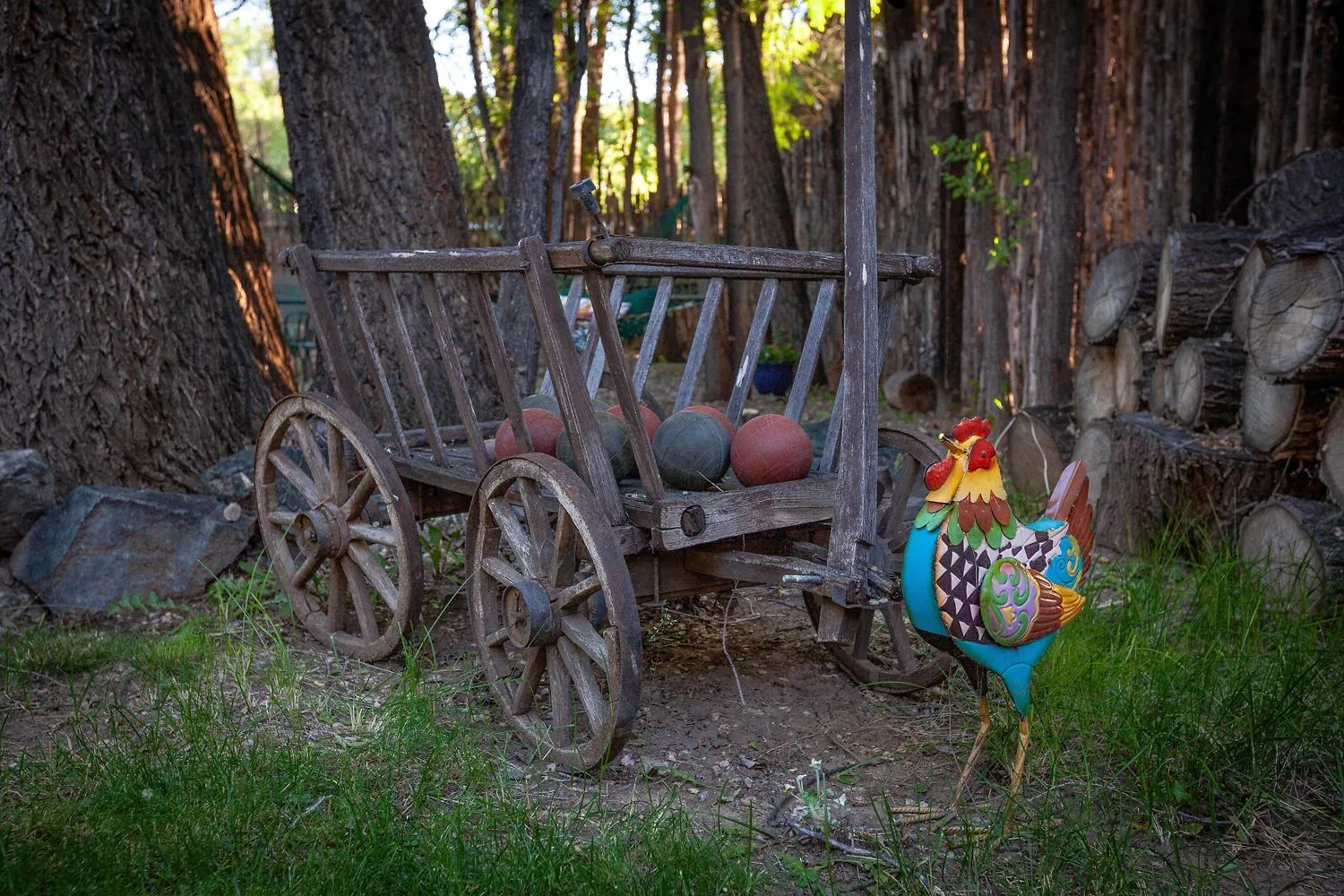 Activities in Dreamcatcher B&B