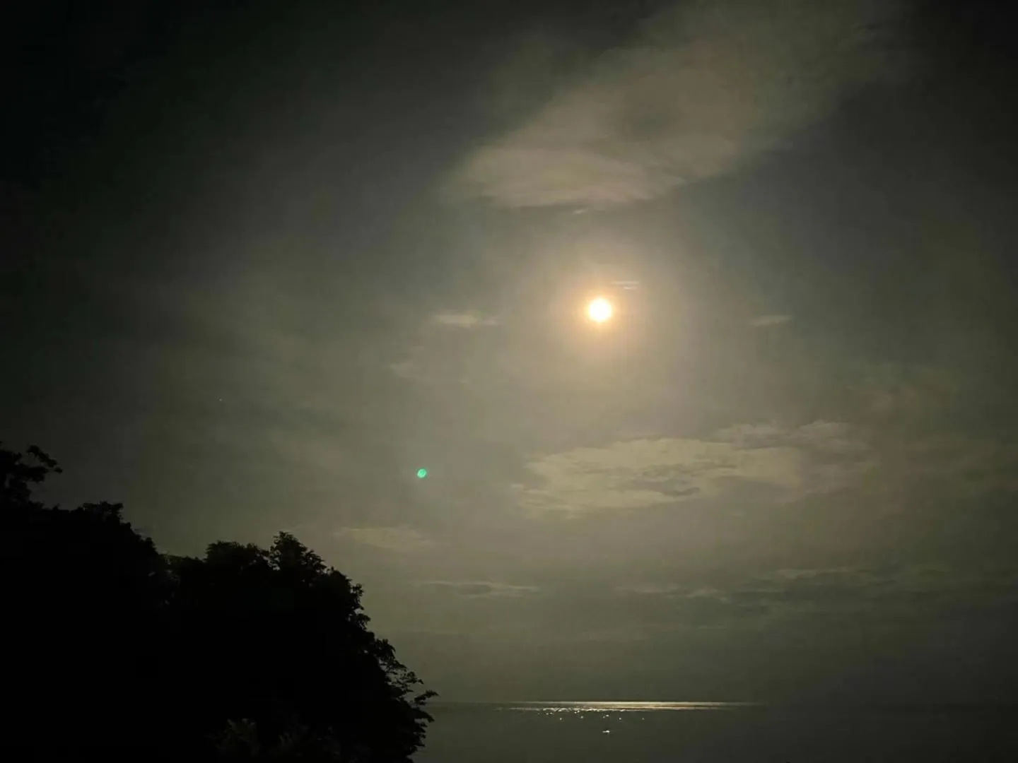 Night in Jelly Sea Resort