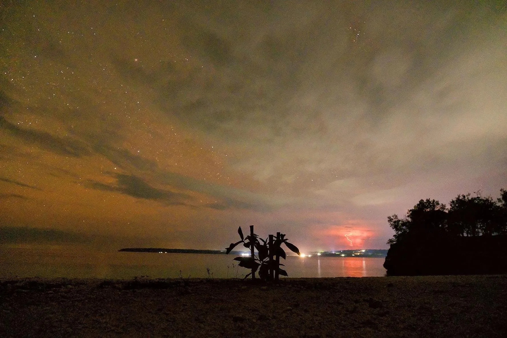 Night in Jelly Sea Resort