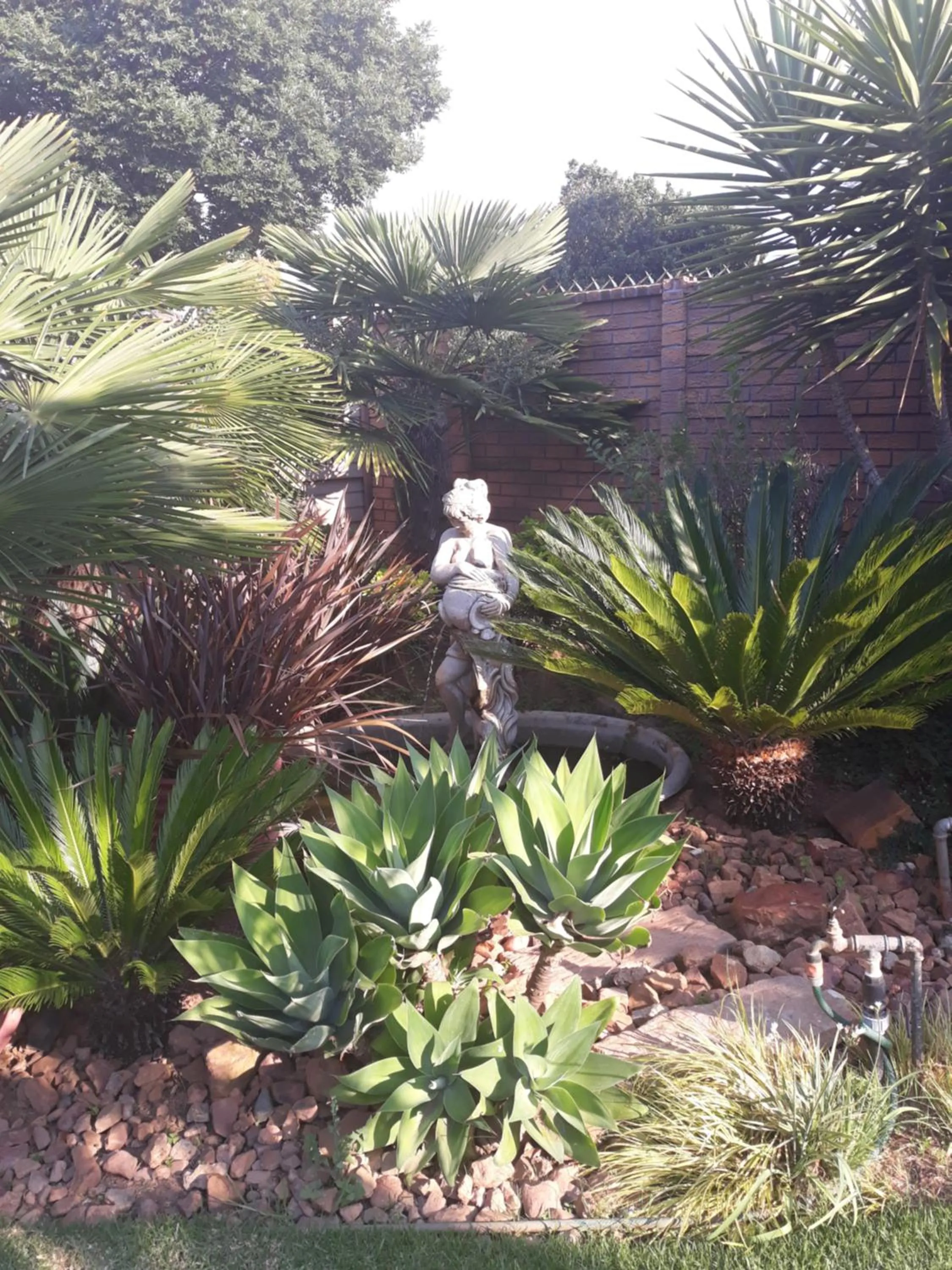 Little Umhlanga