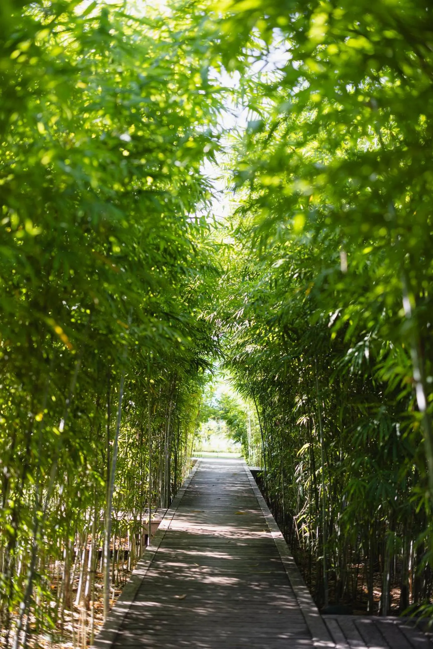 Spa and wellness centre/facilities in Farmhouse Resort & Spa