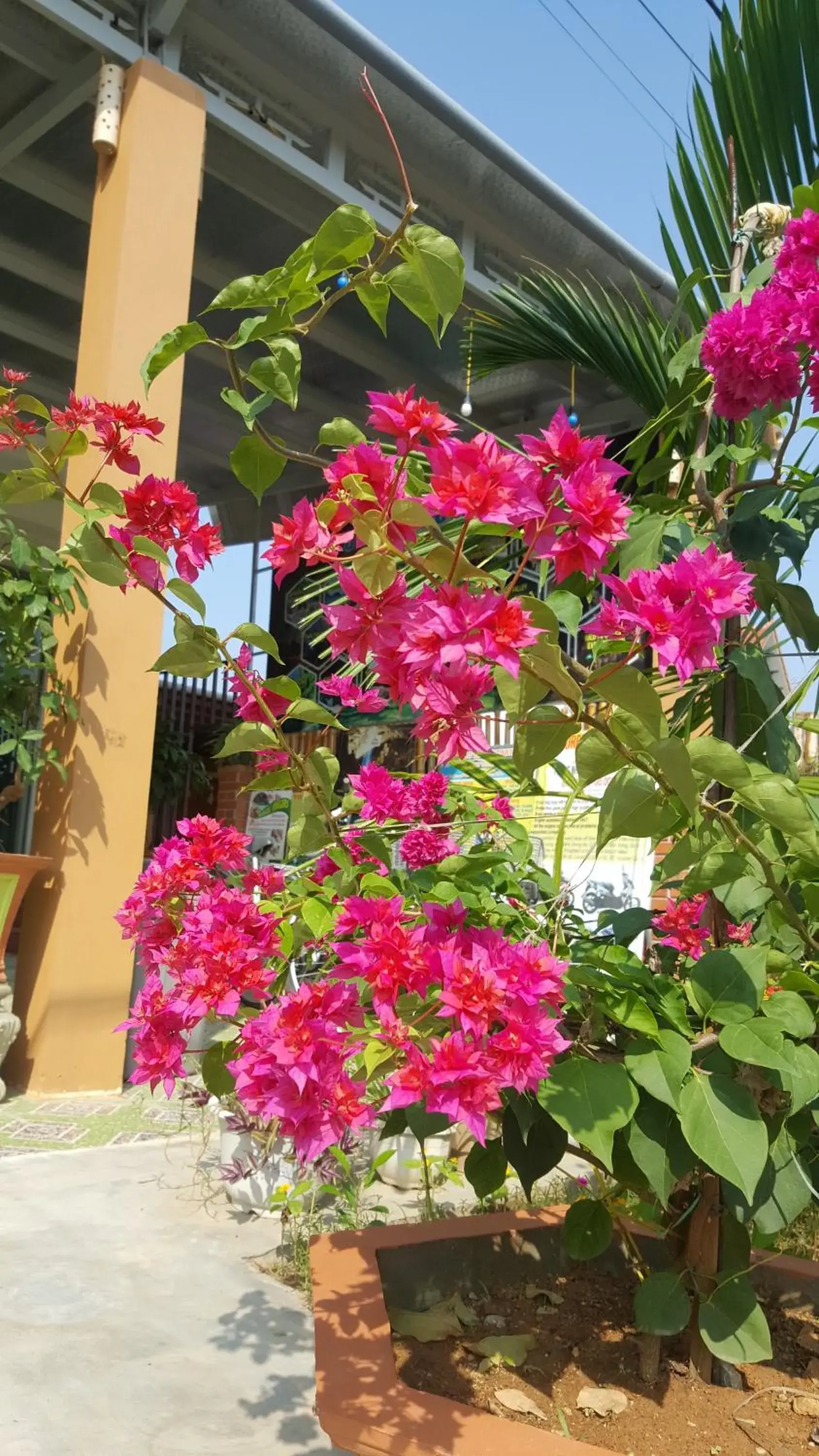 Facade/entrance in Phong Nha Love Homestay Facade/entrance in Phong Nha Love Homestay