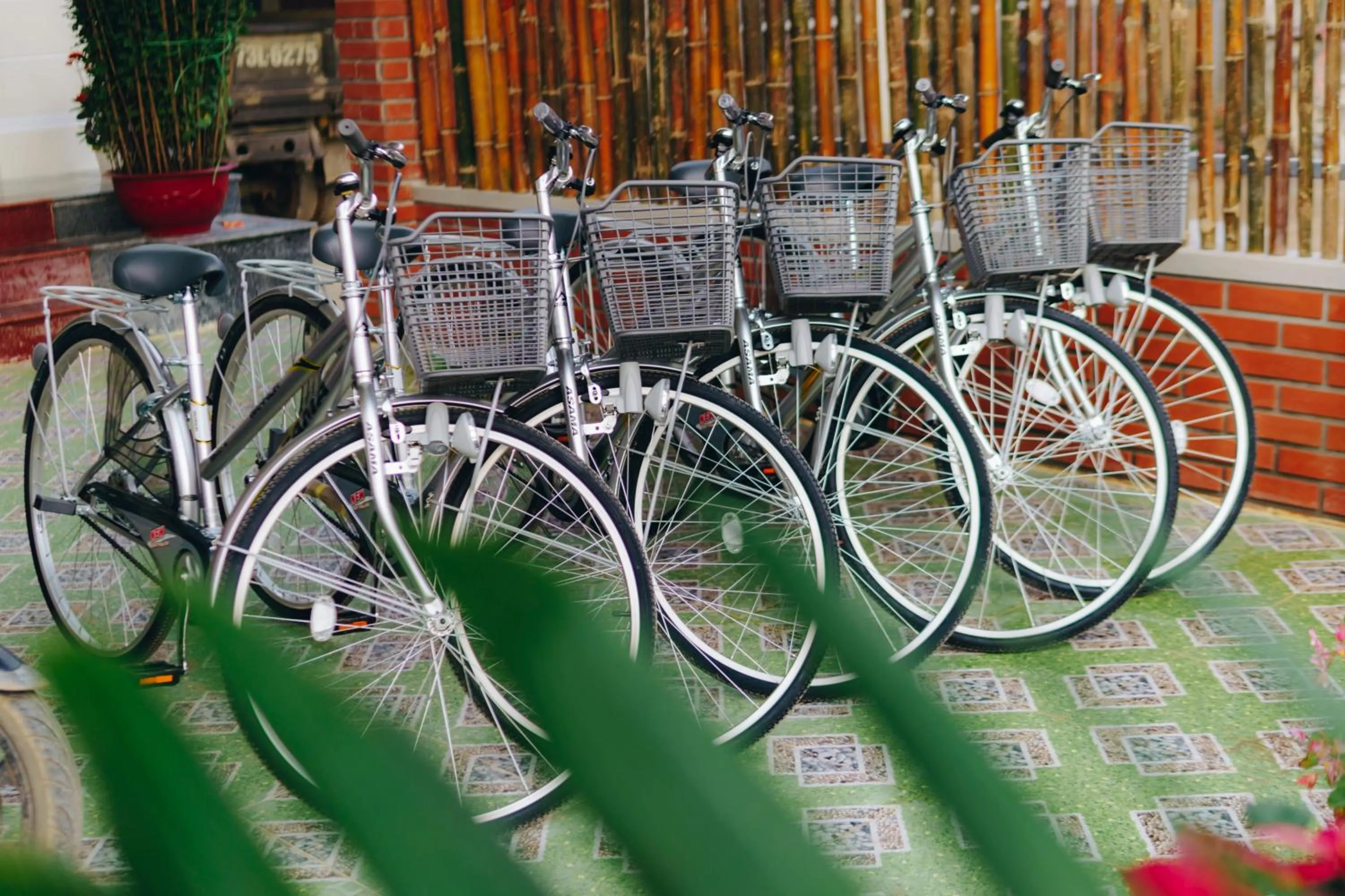 Activities in Phong Nha Love Homestay