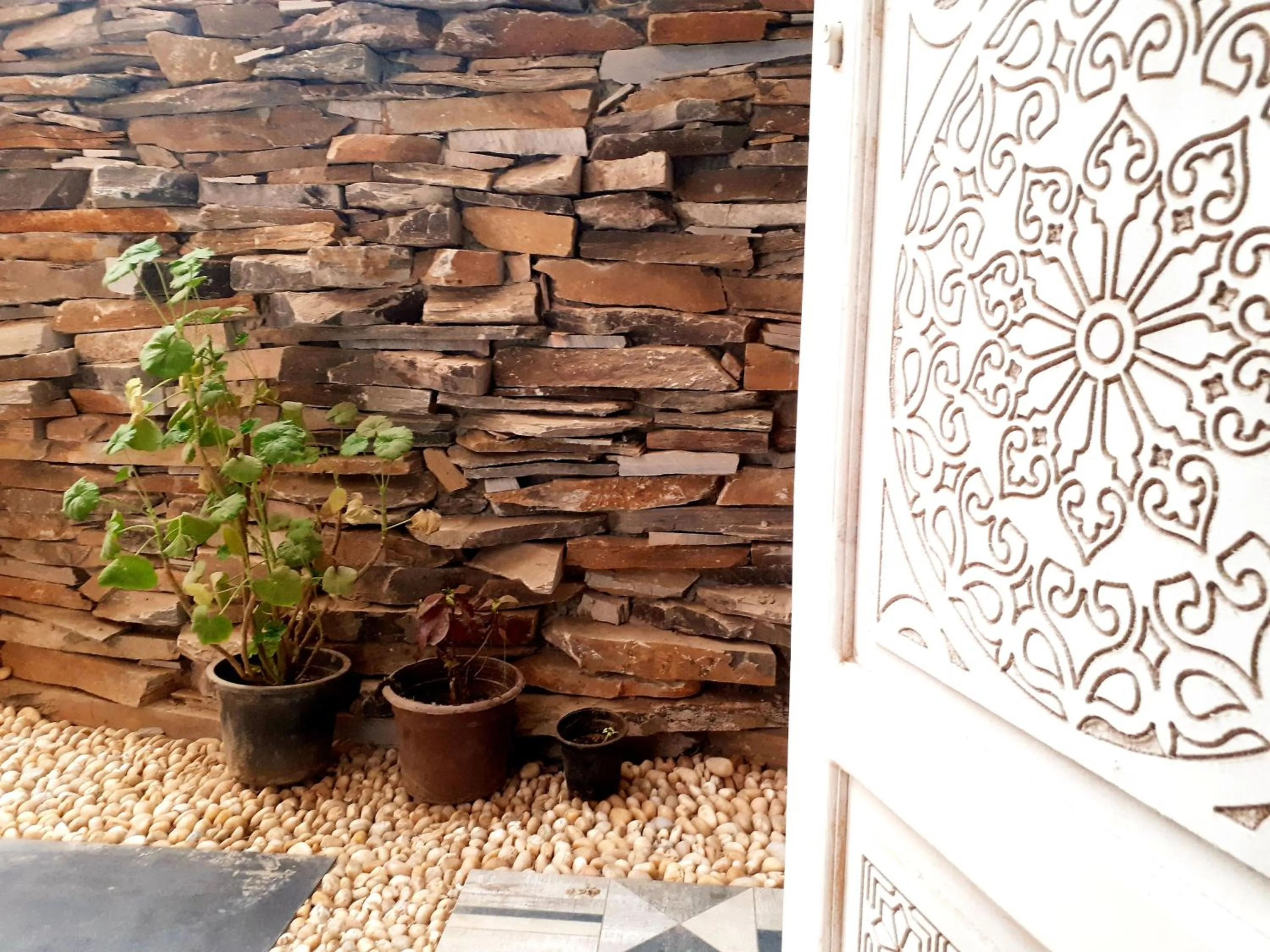 Other in Arabian Nights Pyramids Guesthouse