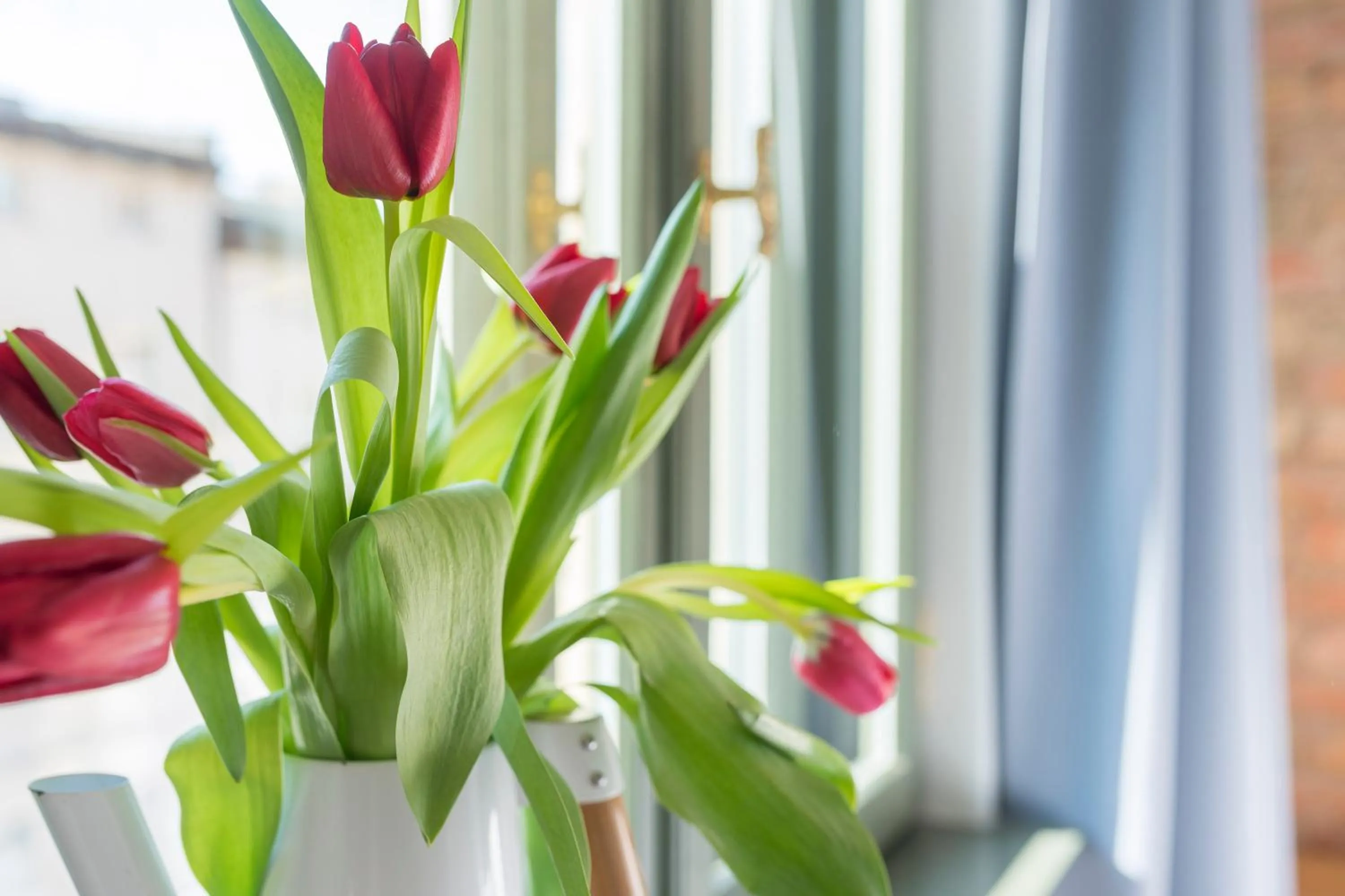Decorative detail in PROVENIR HOME STRZELECKA 25