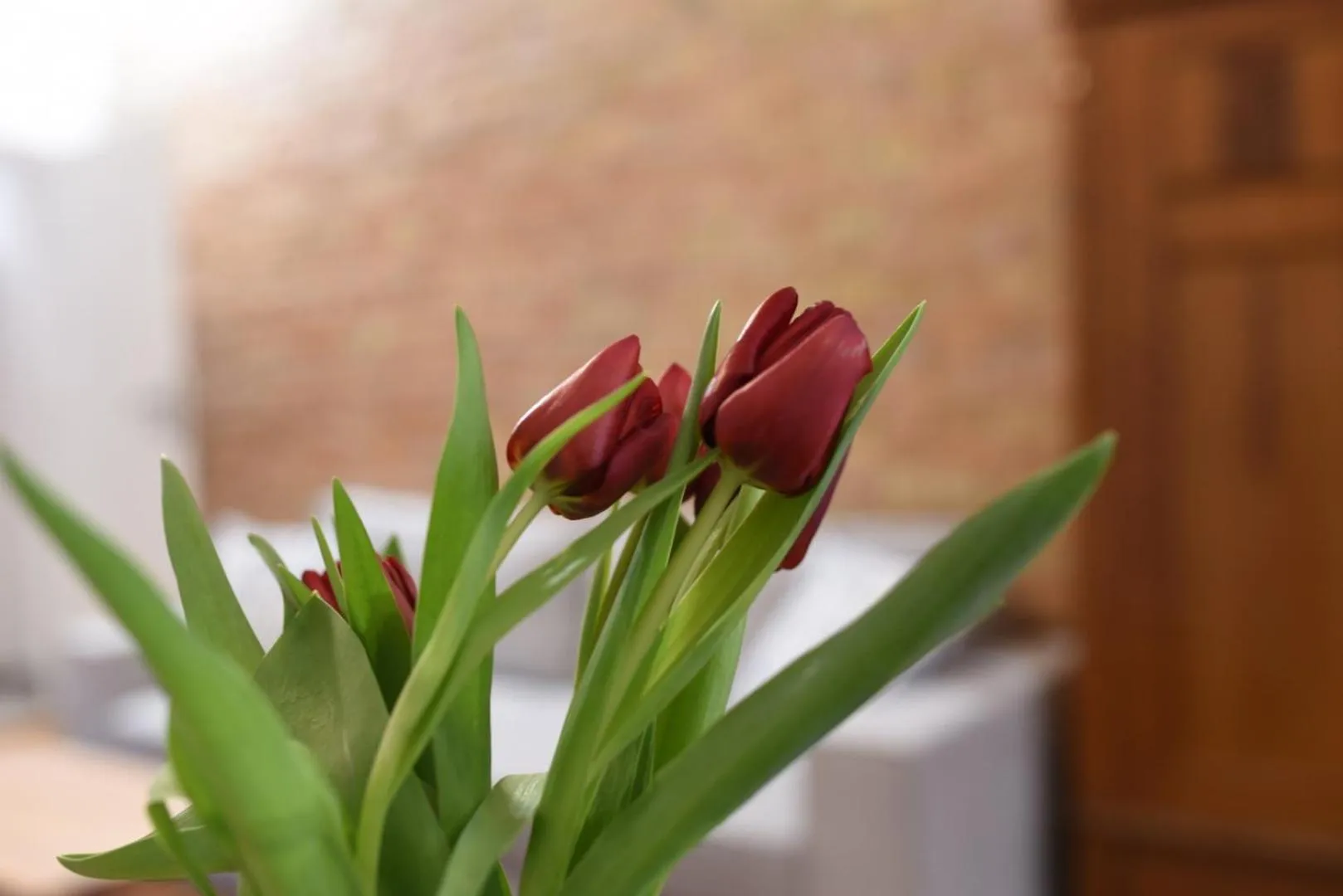 Decorative detail in PROVENIR HOME STRZELECKA 25