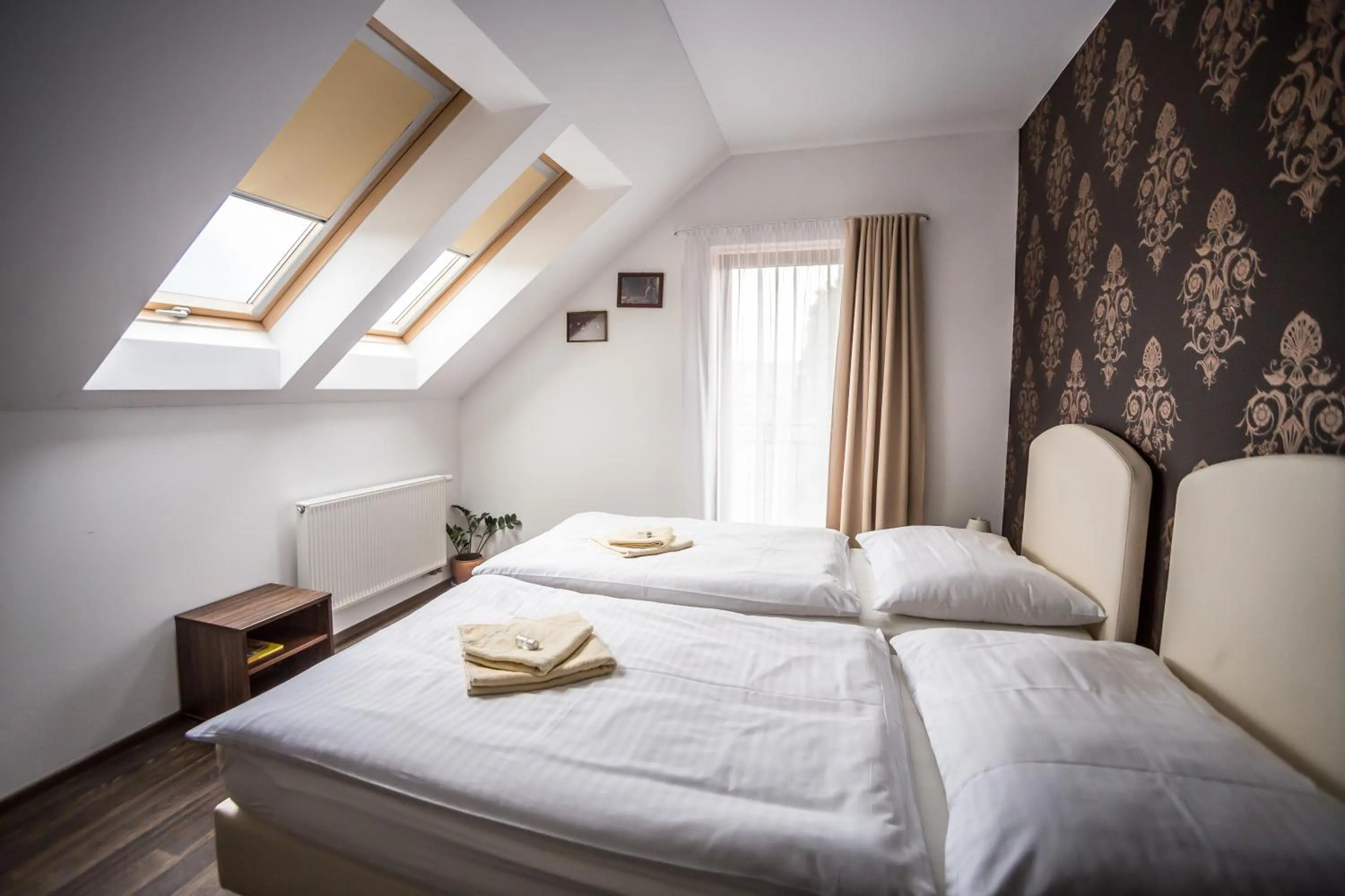 Double or Twin Room - single occupancy in Penzion Trattoria
