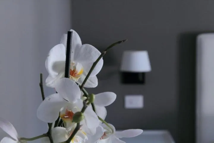 Decorative detail in B&B Le Biciclette