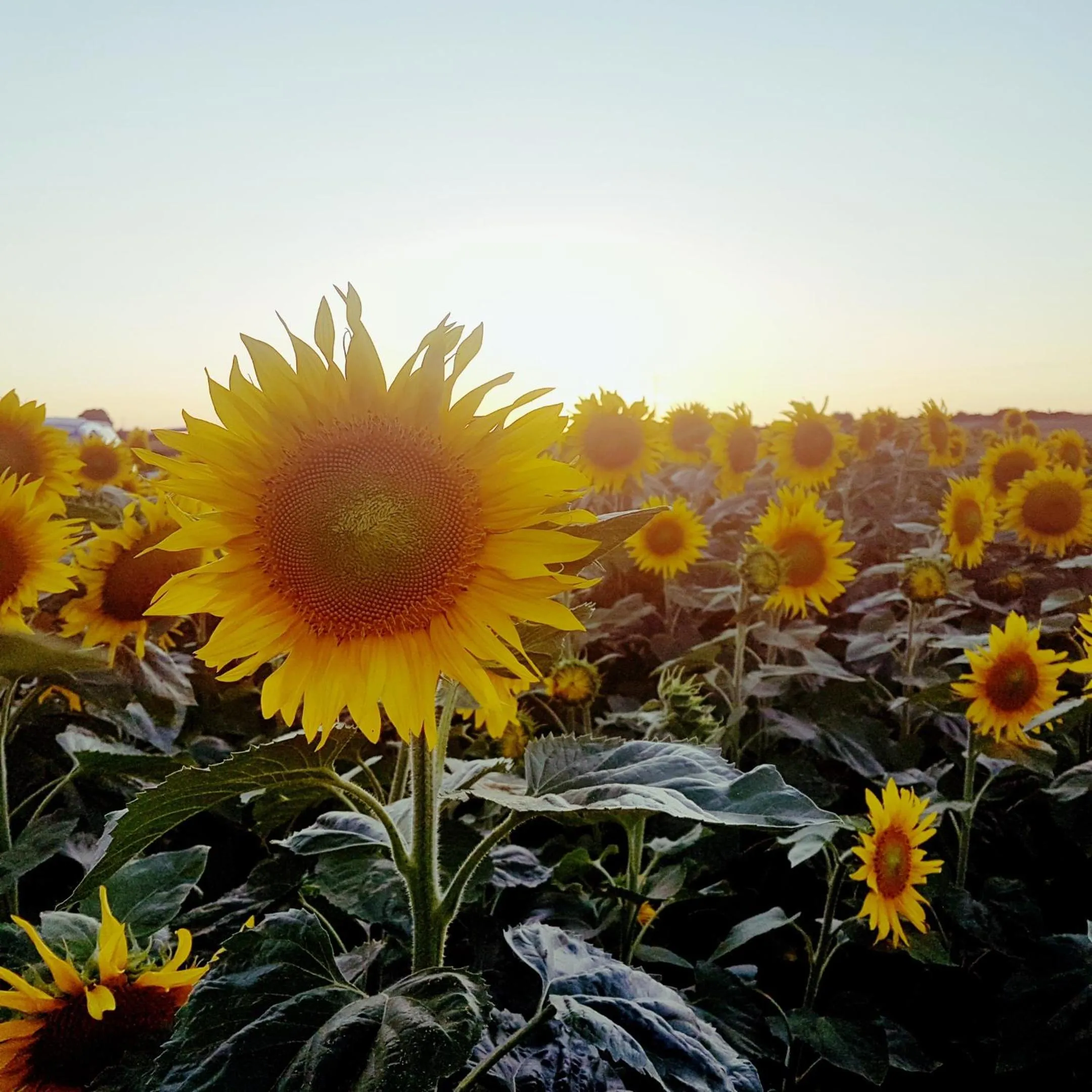 Natural landscape in Fonsegre Chambres d'Hôtes