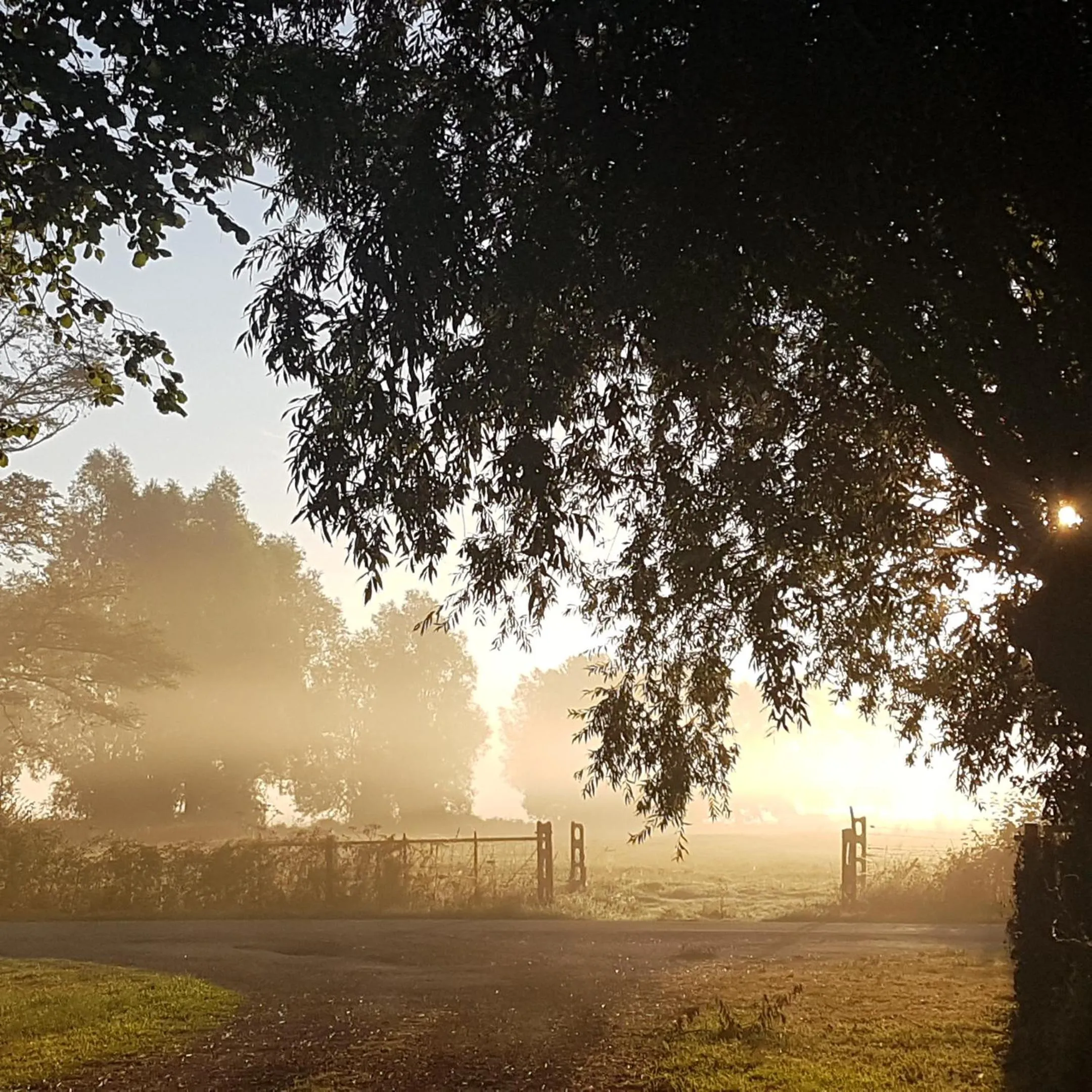 Natural landscape in Fonsegre Chambres d'Hôtes