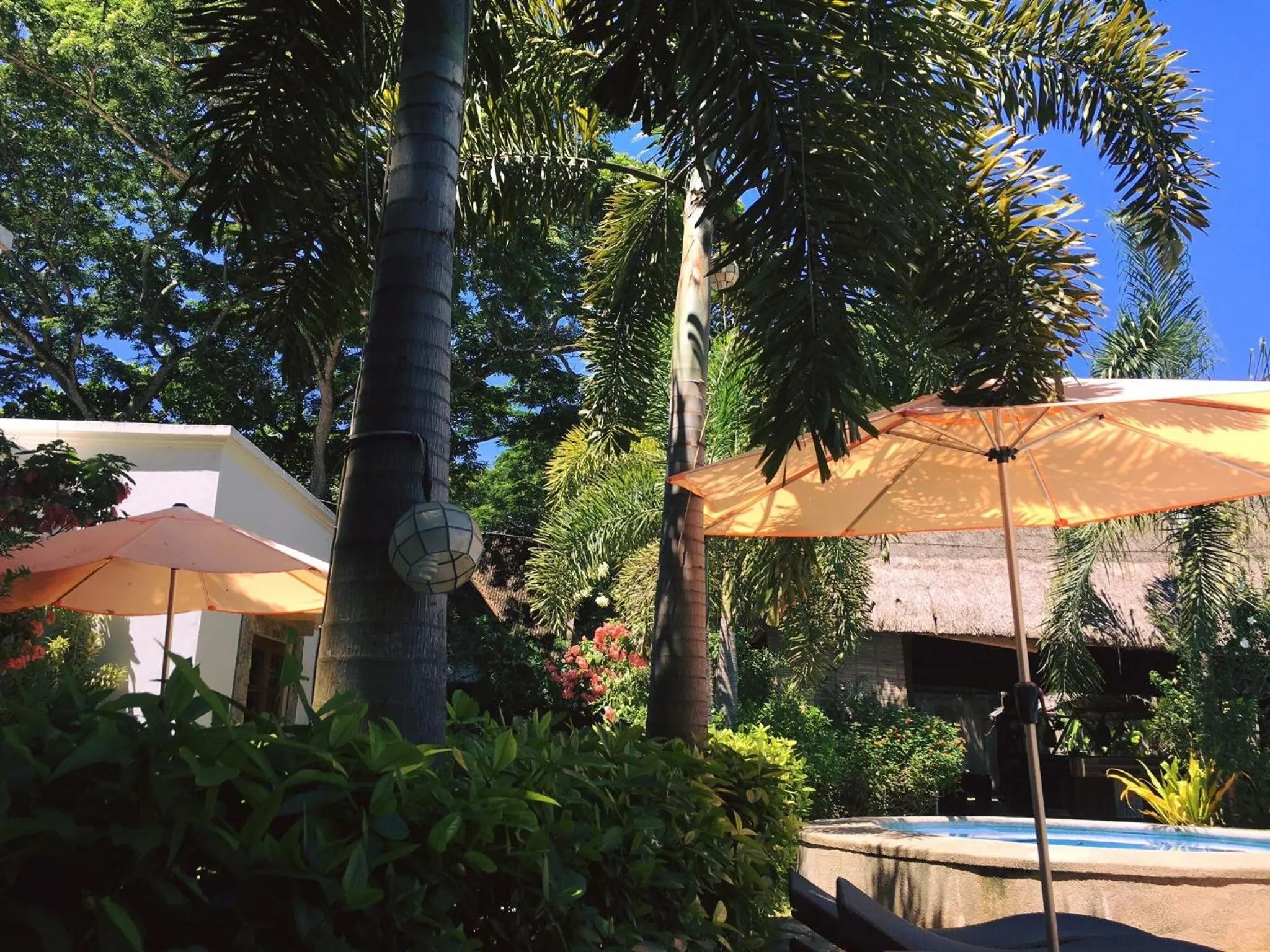 Restaurant/places to eat in Acacia Tree Garden Hotel