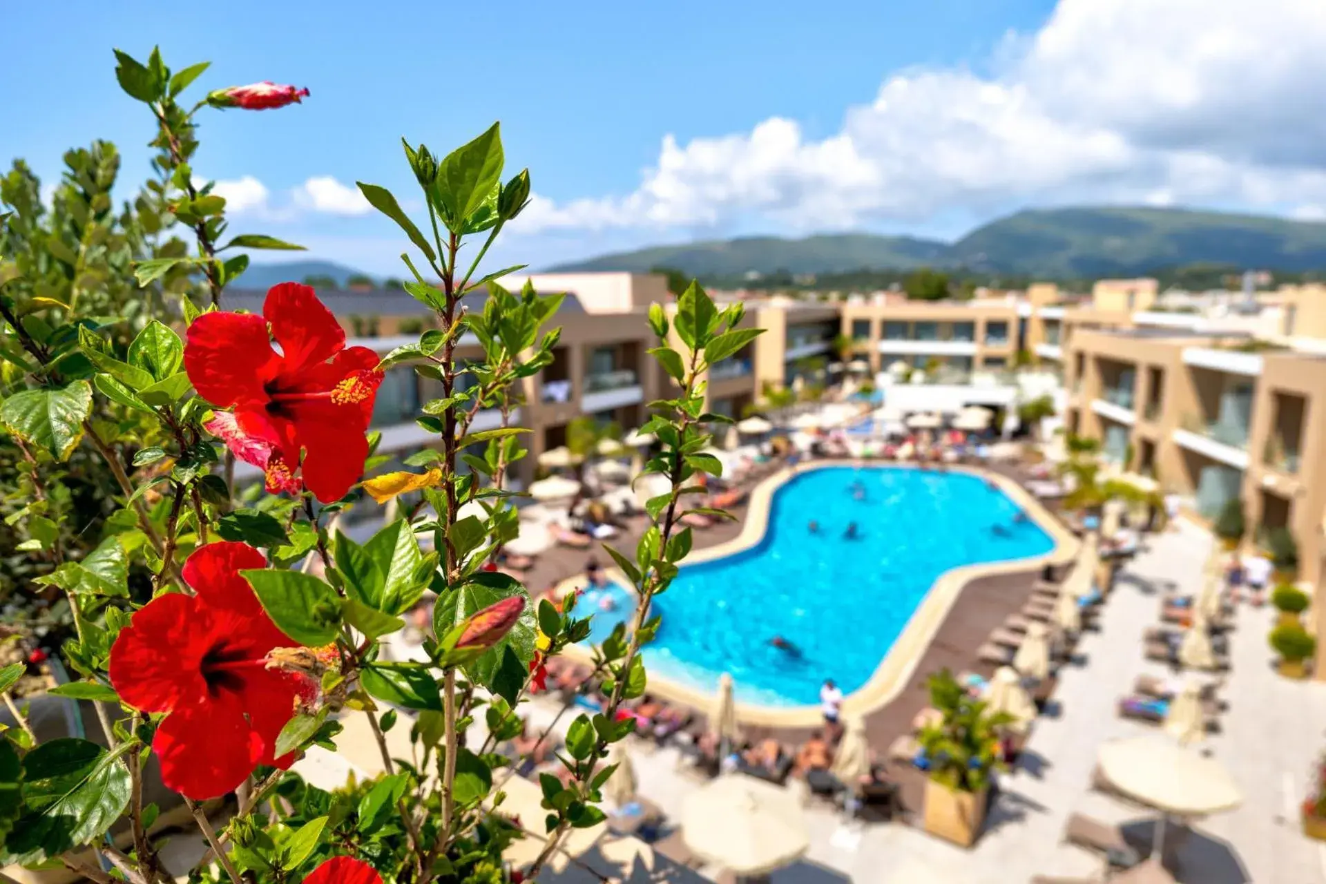 Pool view in White Olive Elite Laganas Pool view in White Olive Elite Laganas