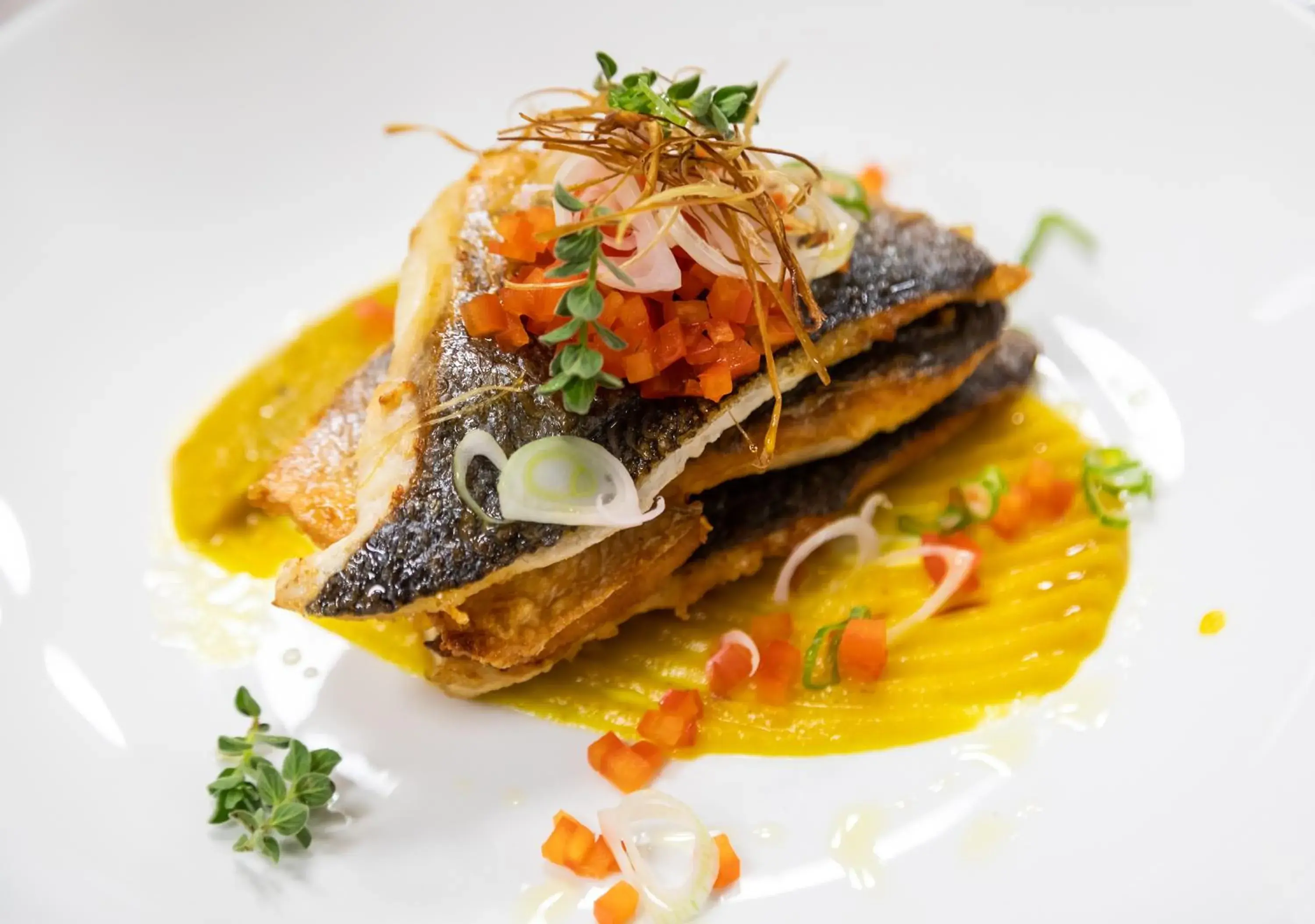 Restaurant/places to eat in White Olive Elite Laganas Restaurant/places to eat in White Olive Elite Laganas