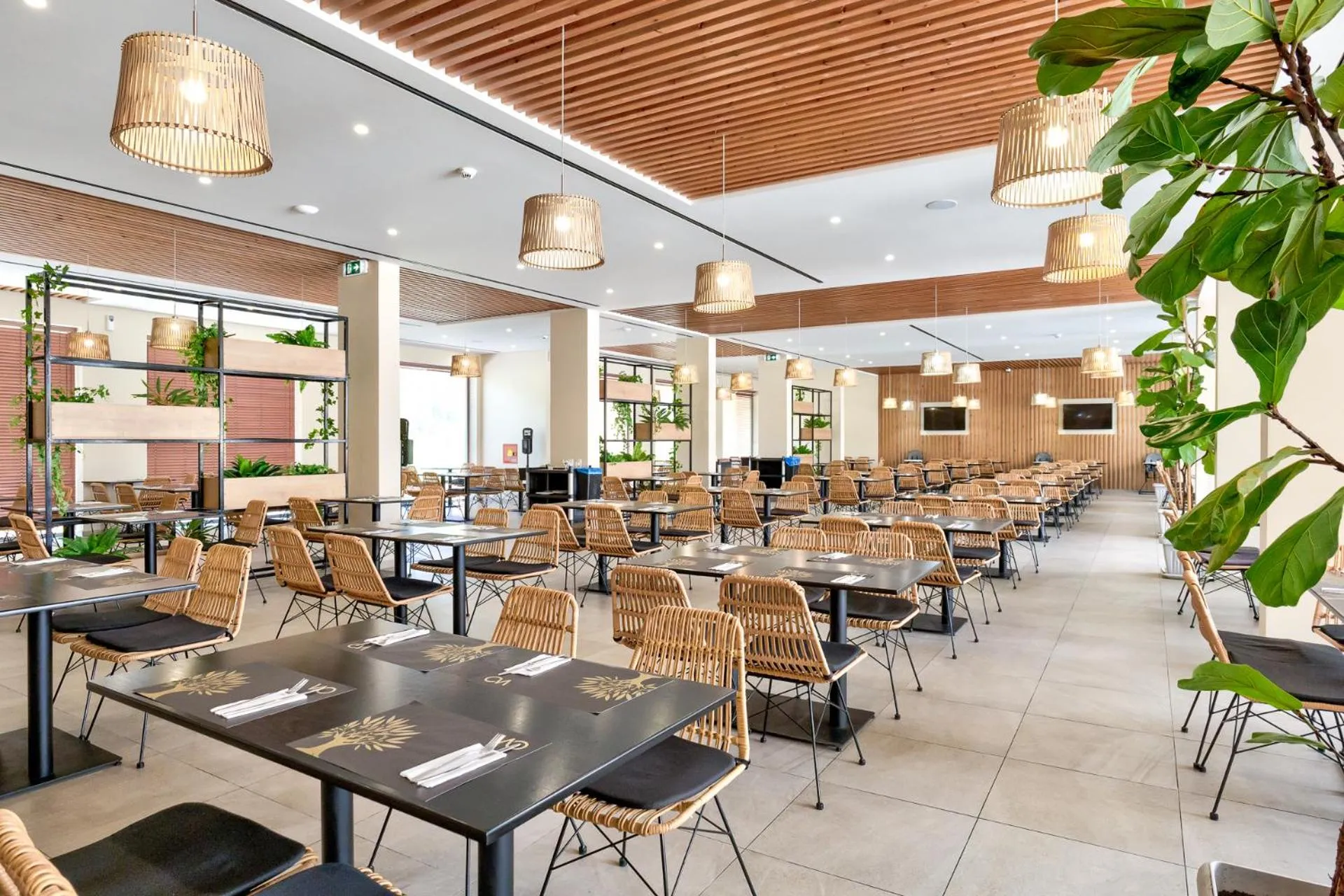 Restaurant/places to eat in White Olive Elite Laganas