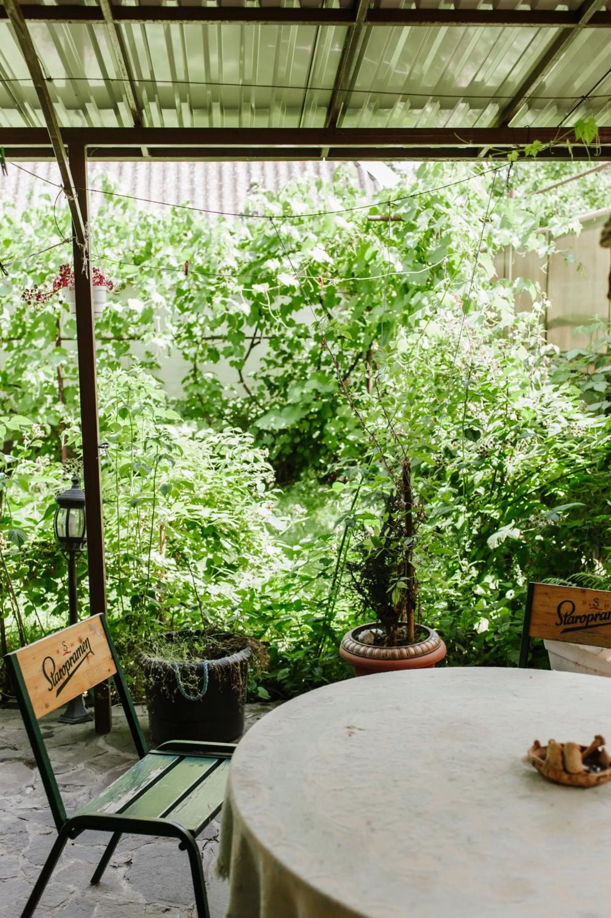 Garden in Mala Praha