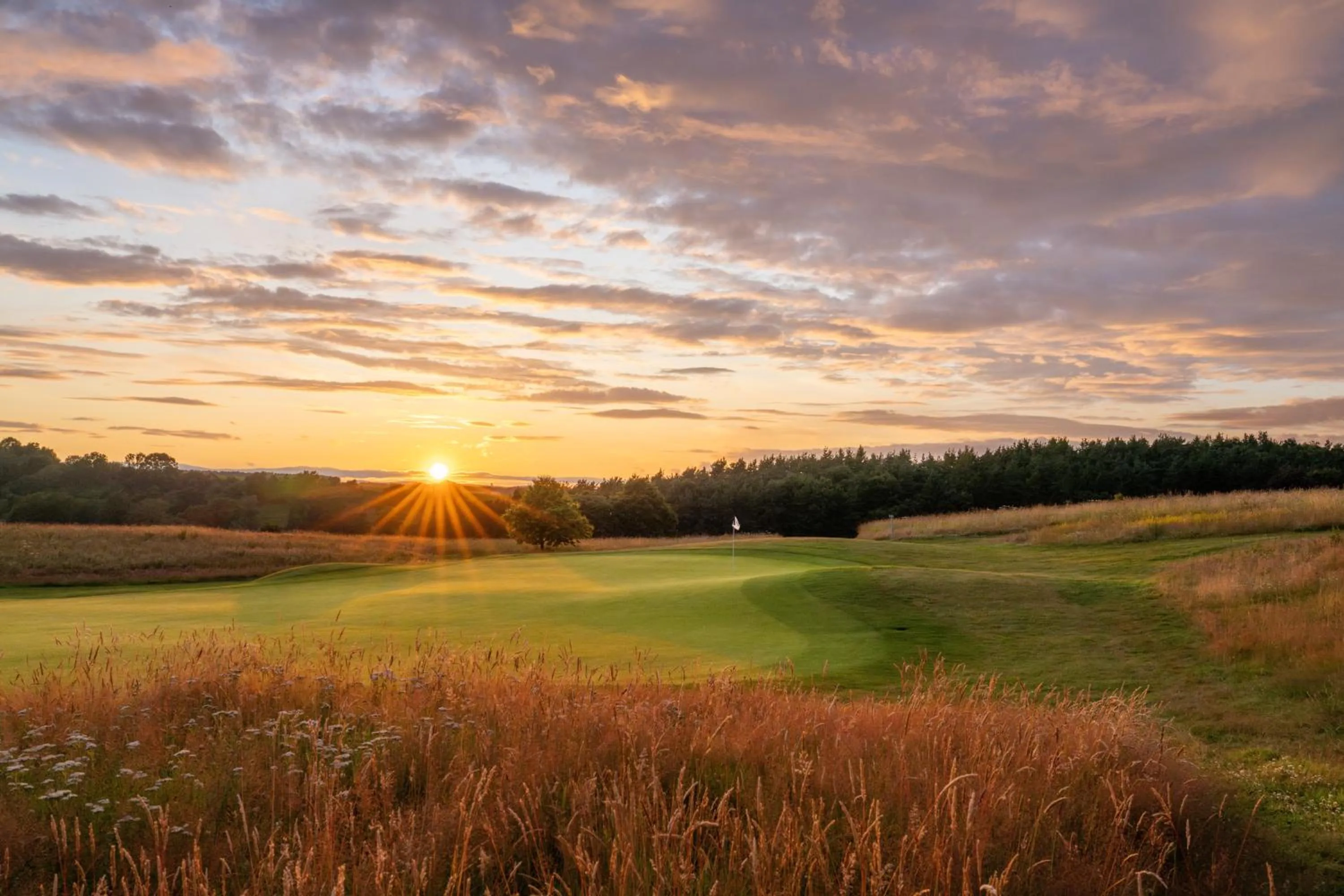 Natural landscape in SCHLOSS Roxburghe, part of Destination by Hyatt
