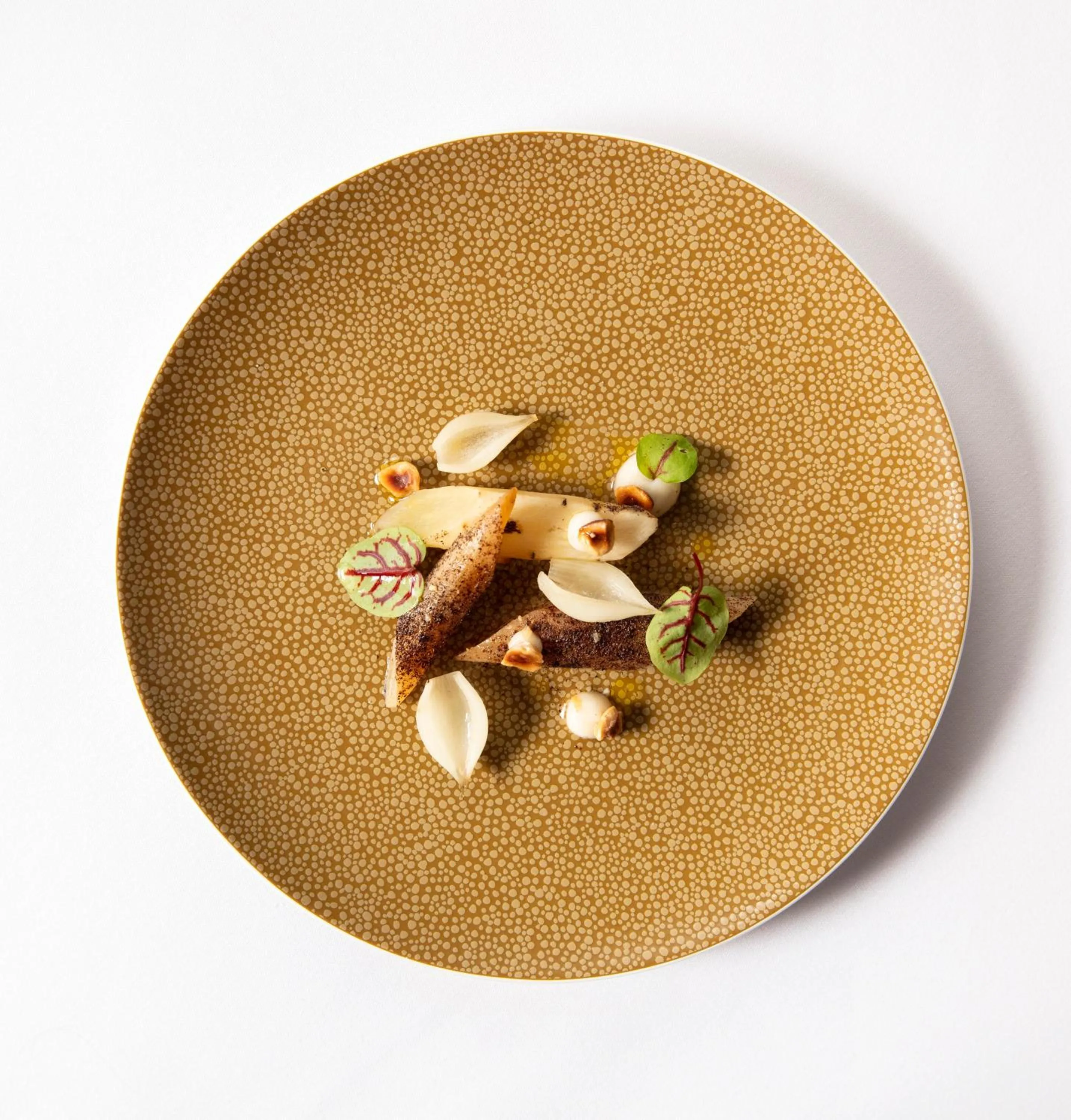 Restaurant/places to eat in SCHLOSS Roxburghe, part of Destination by Hyatt