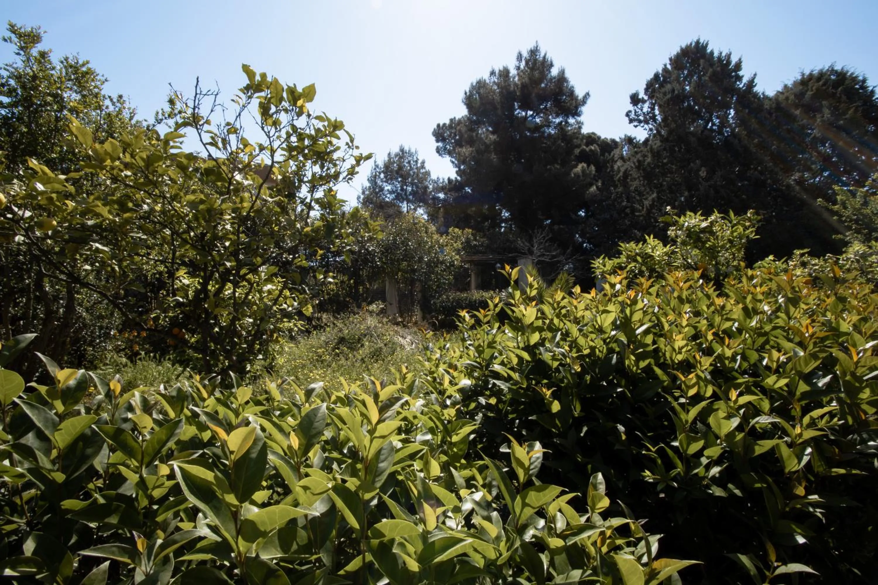Garden in Le Tre Sorelle