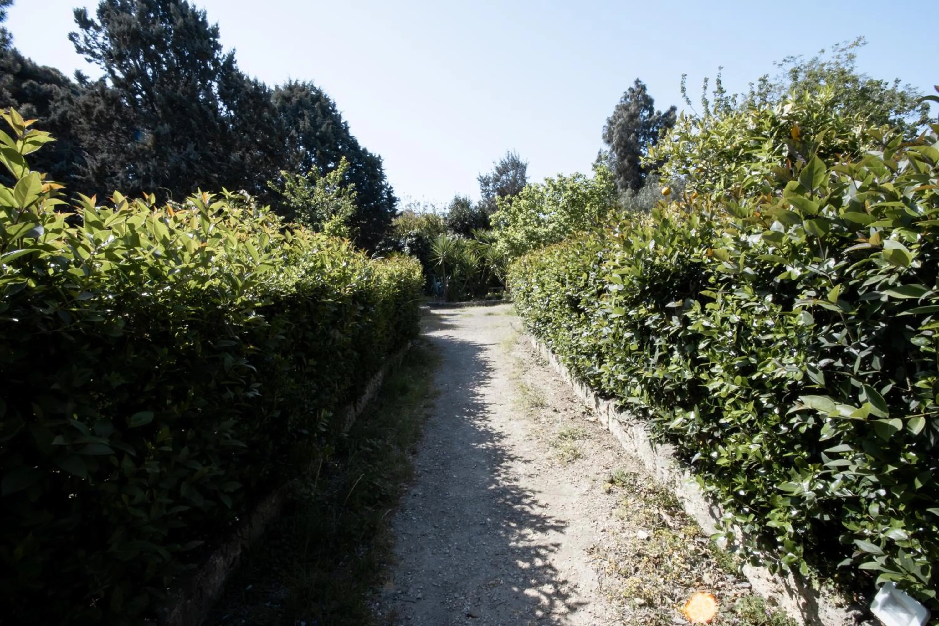 Spring in Le Tre Sorelle