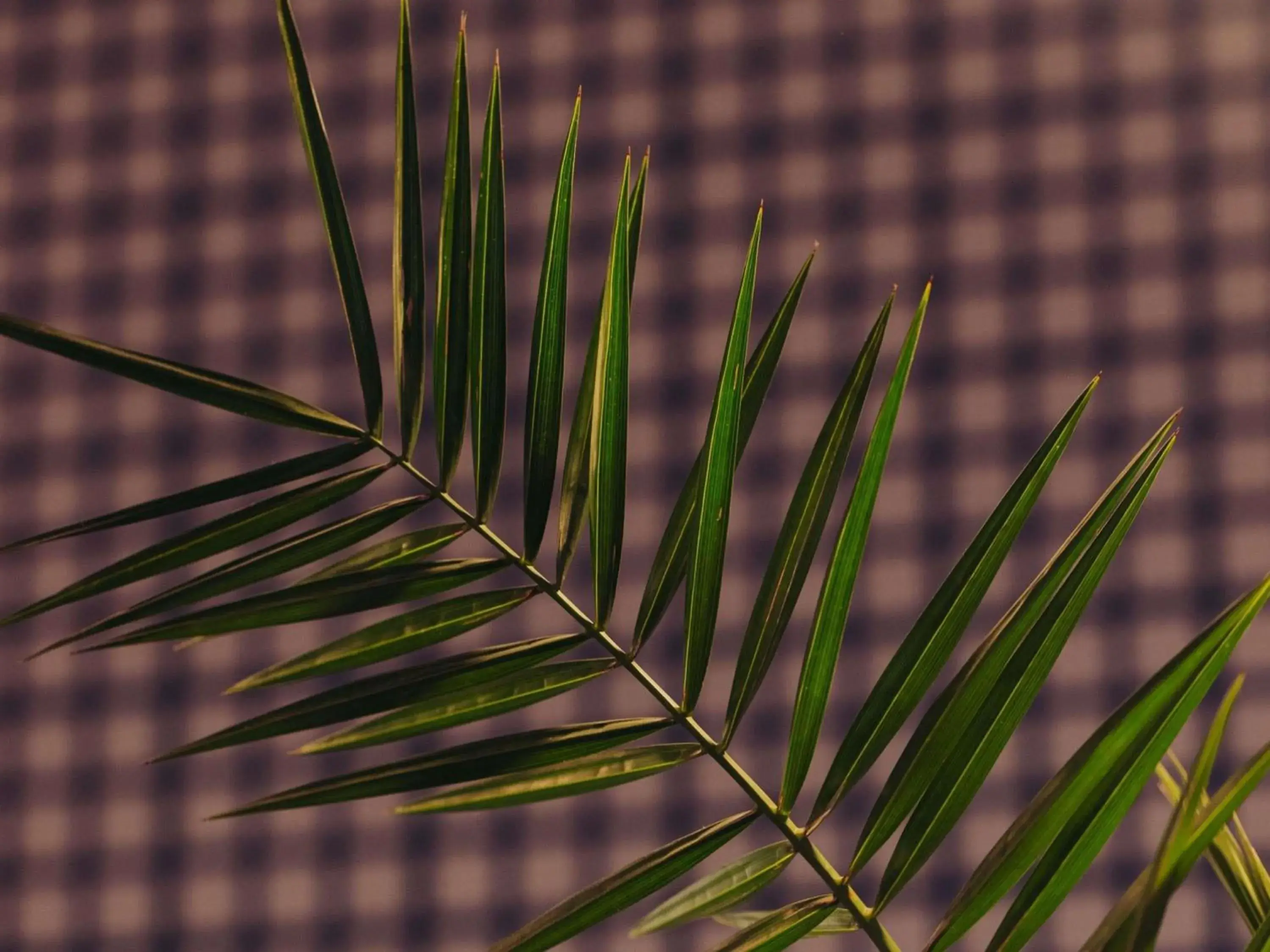 Property building in Ibis Wien Mariahilf Property building in Ibis Wien Mariahilf