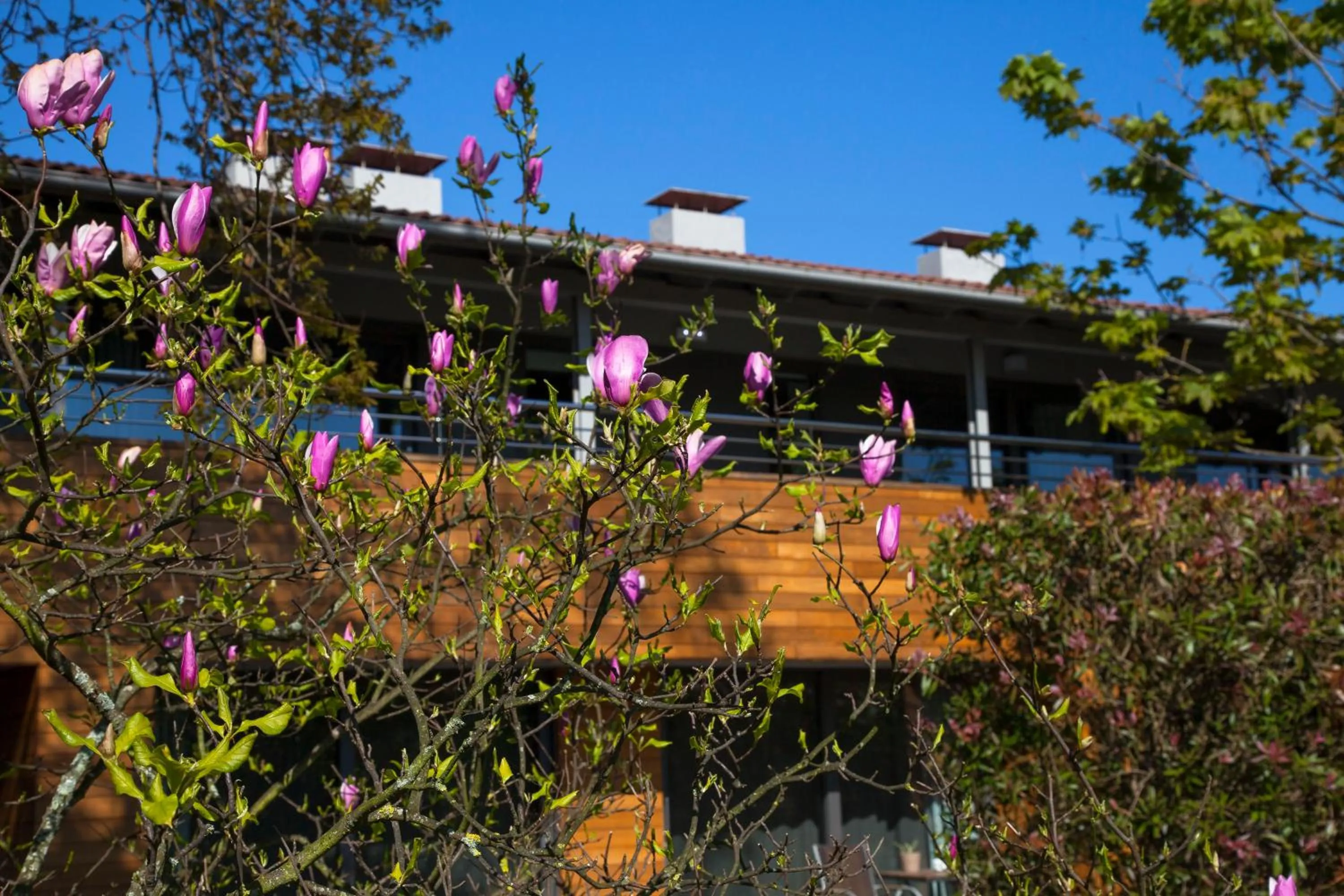 Property building in Apartamentos Casona de la Paca