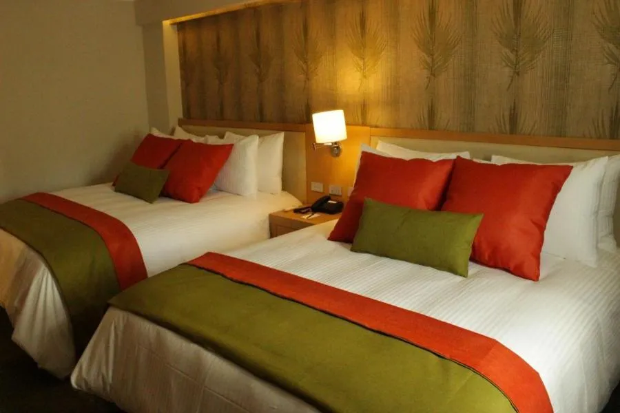 Deluxe Twin Room in Hesperia Maracay