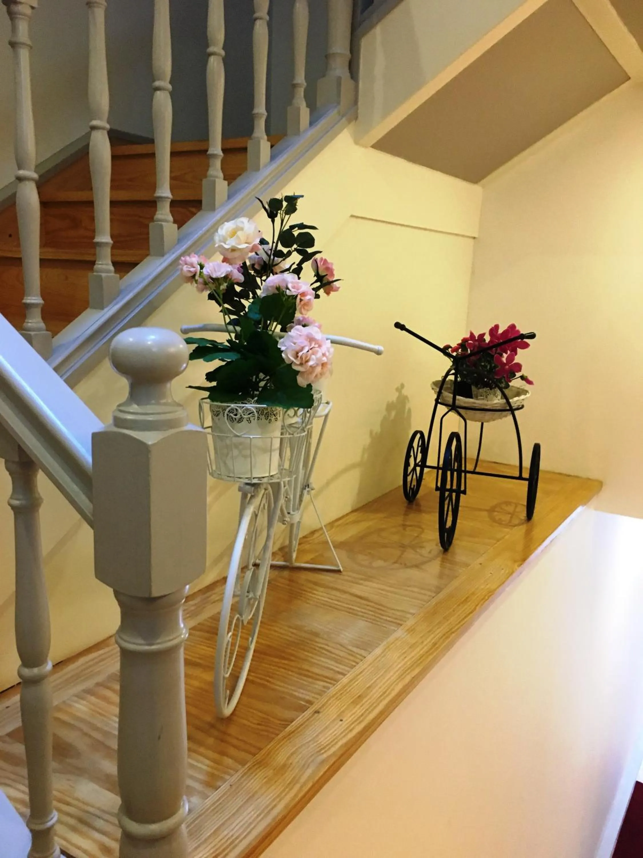 ÍSIS Guest House