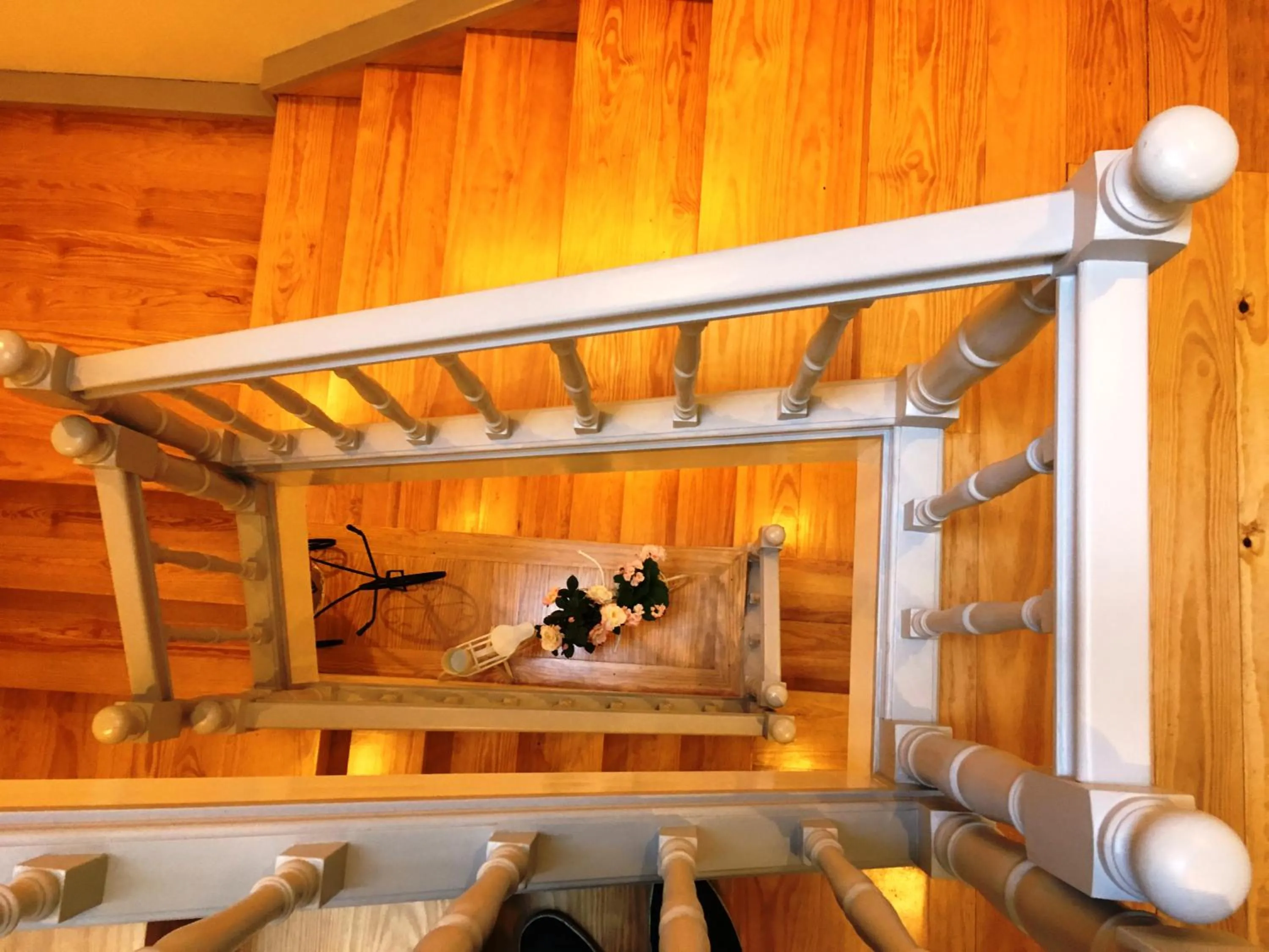 ÍSIS Guest House