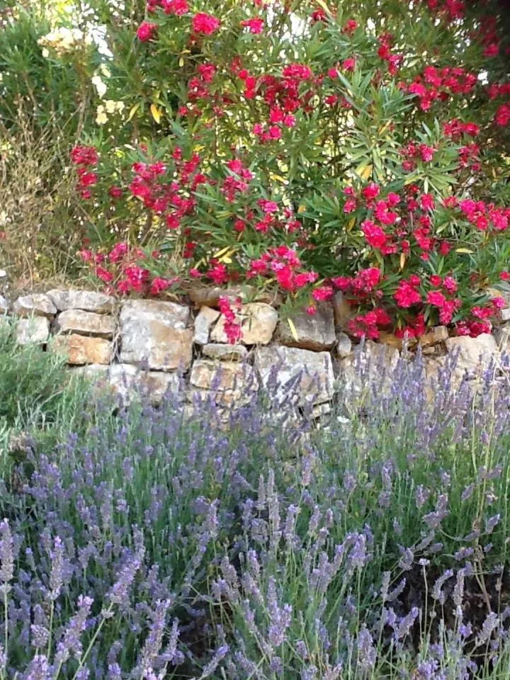 l'Oustaou B&B Piscine & Spa