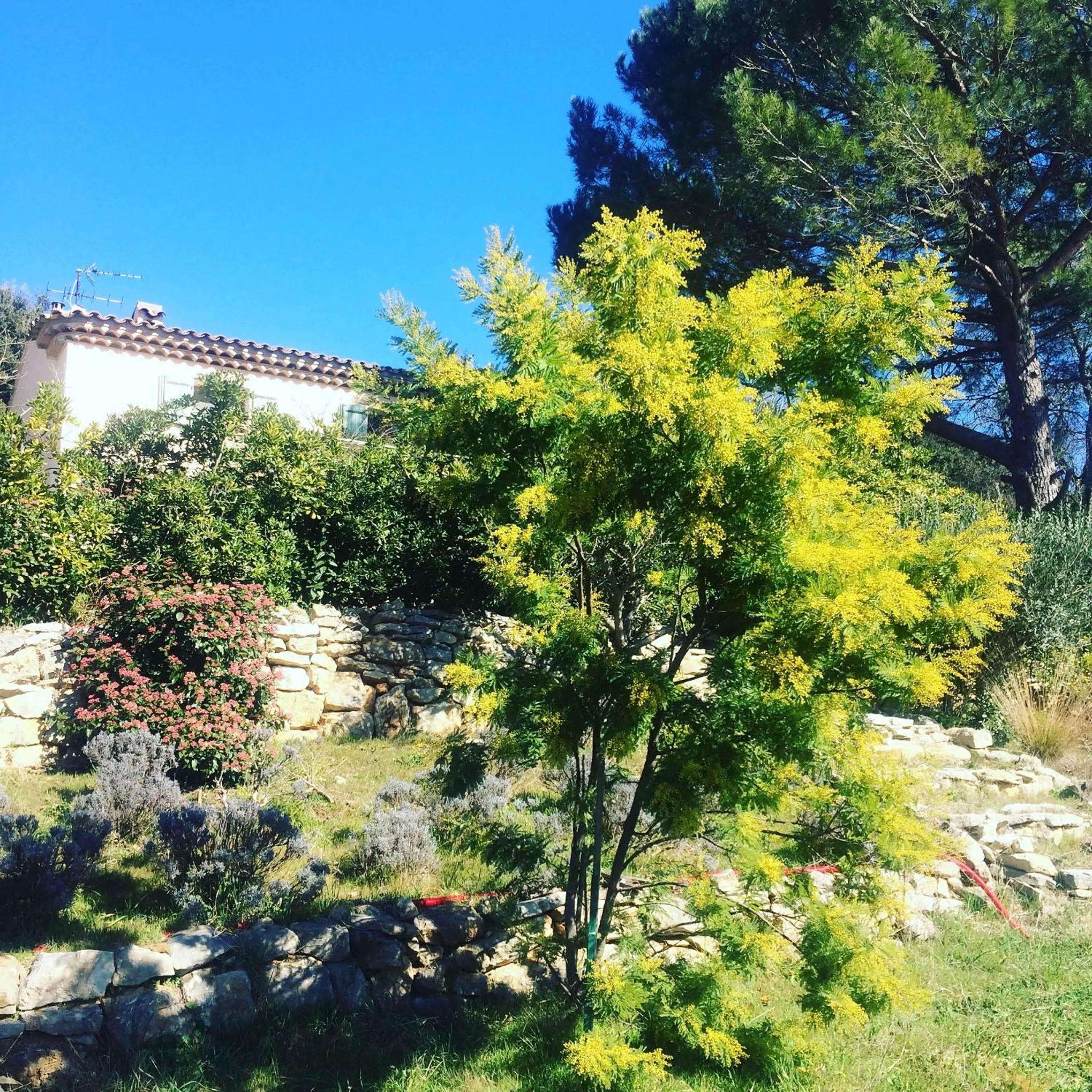 l'Oustaou B&B Piscine & Spa