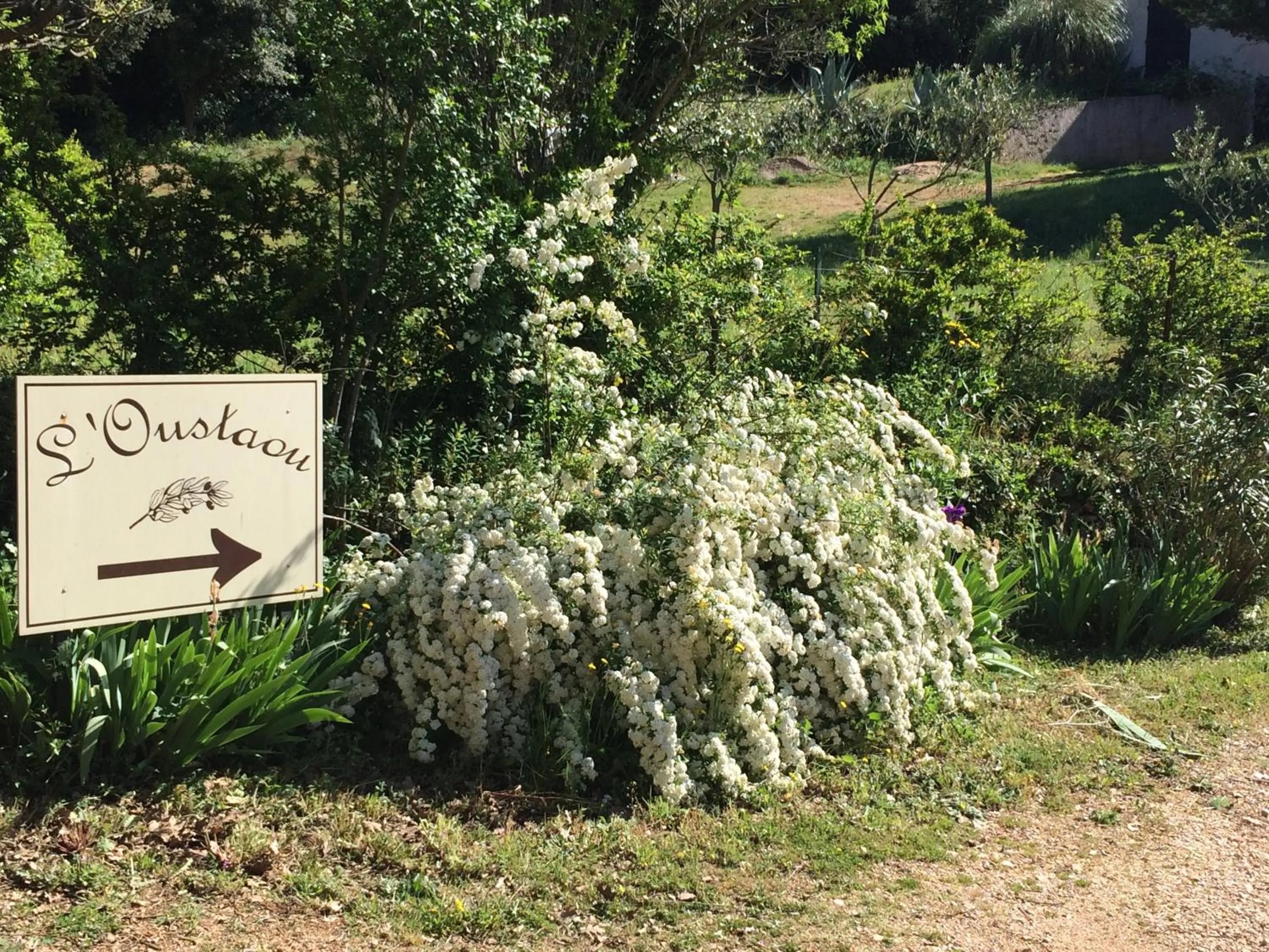 Garden view in l'Oustaou B&B Piscine & Spa