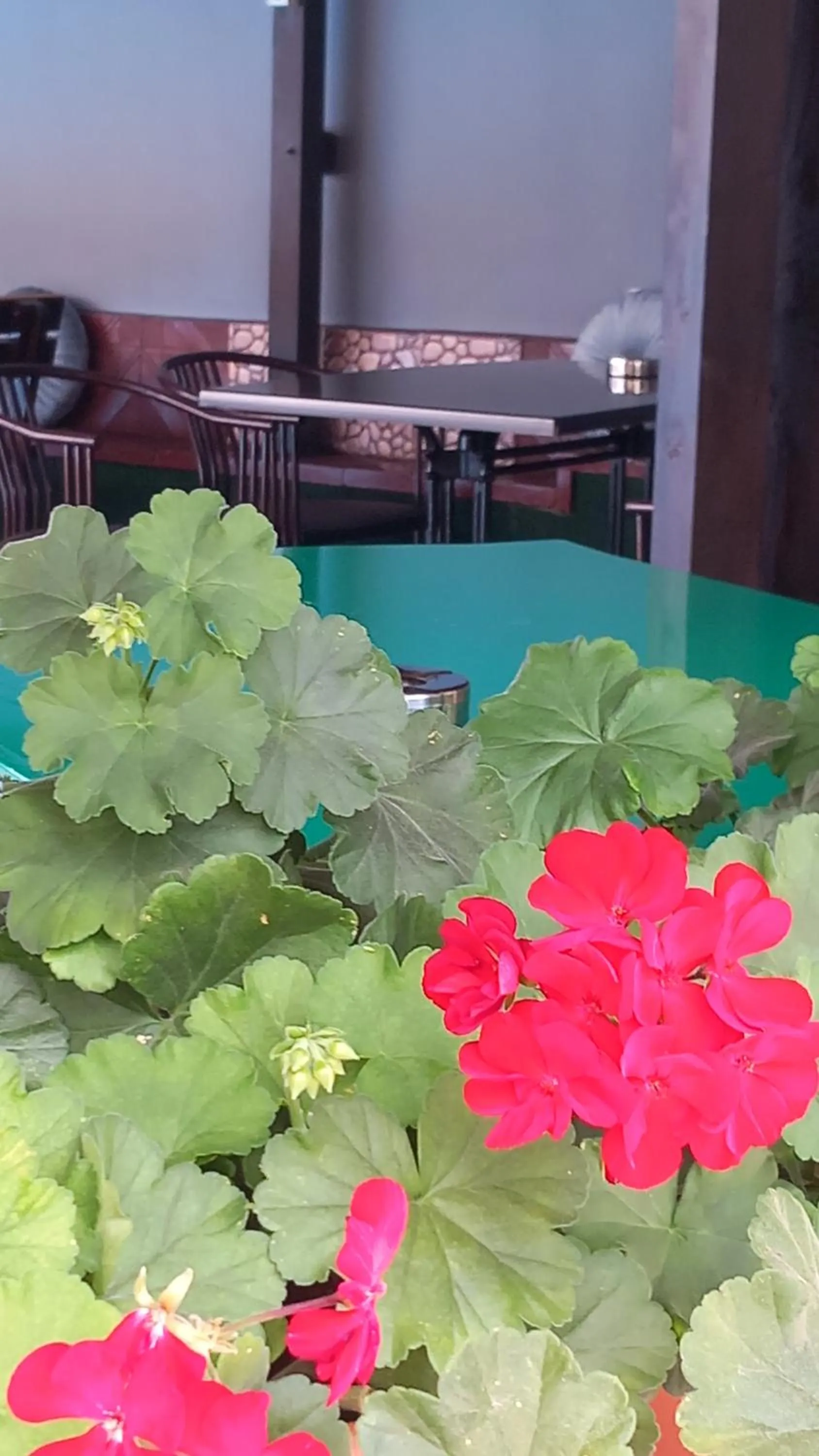 Day in Family Hotel Yagoda88