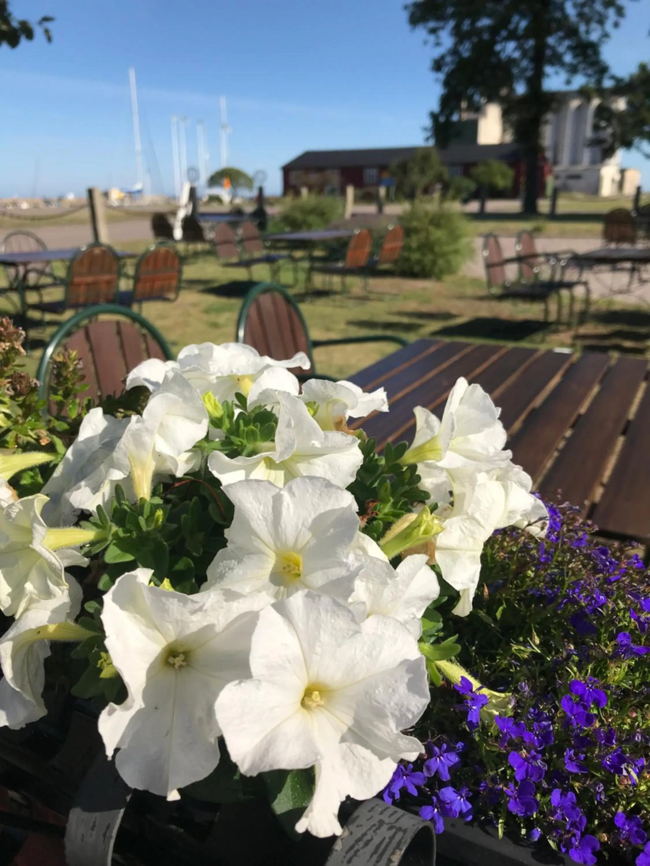 Garden in Hotell Magasin 1