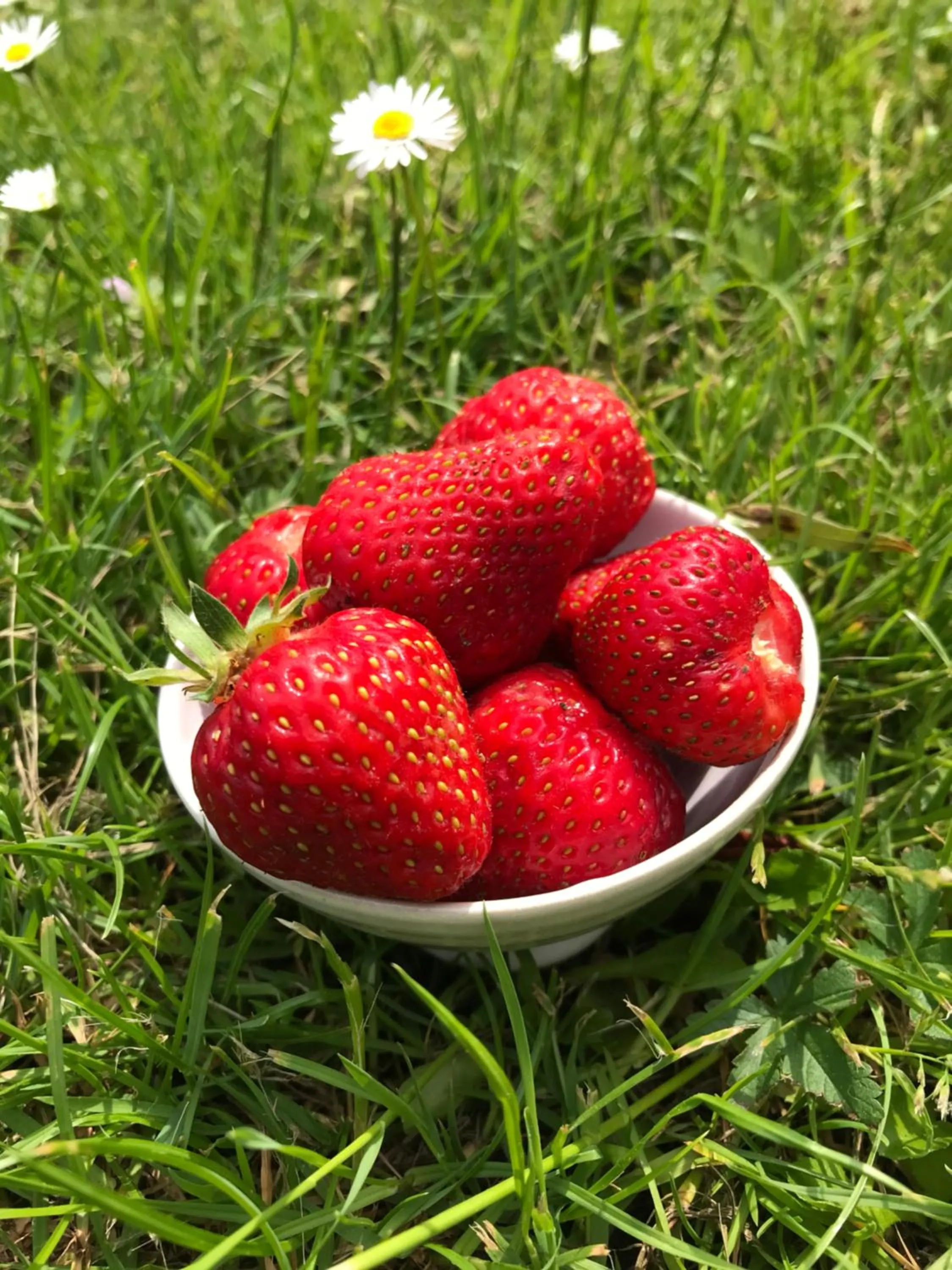 Food and drinks in Hotell Magasin 1