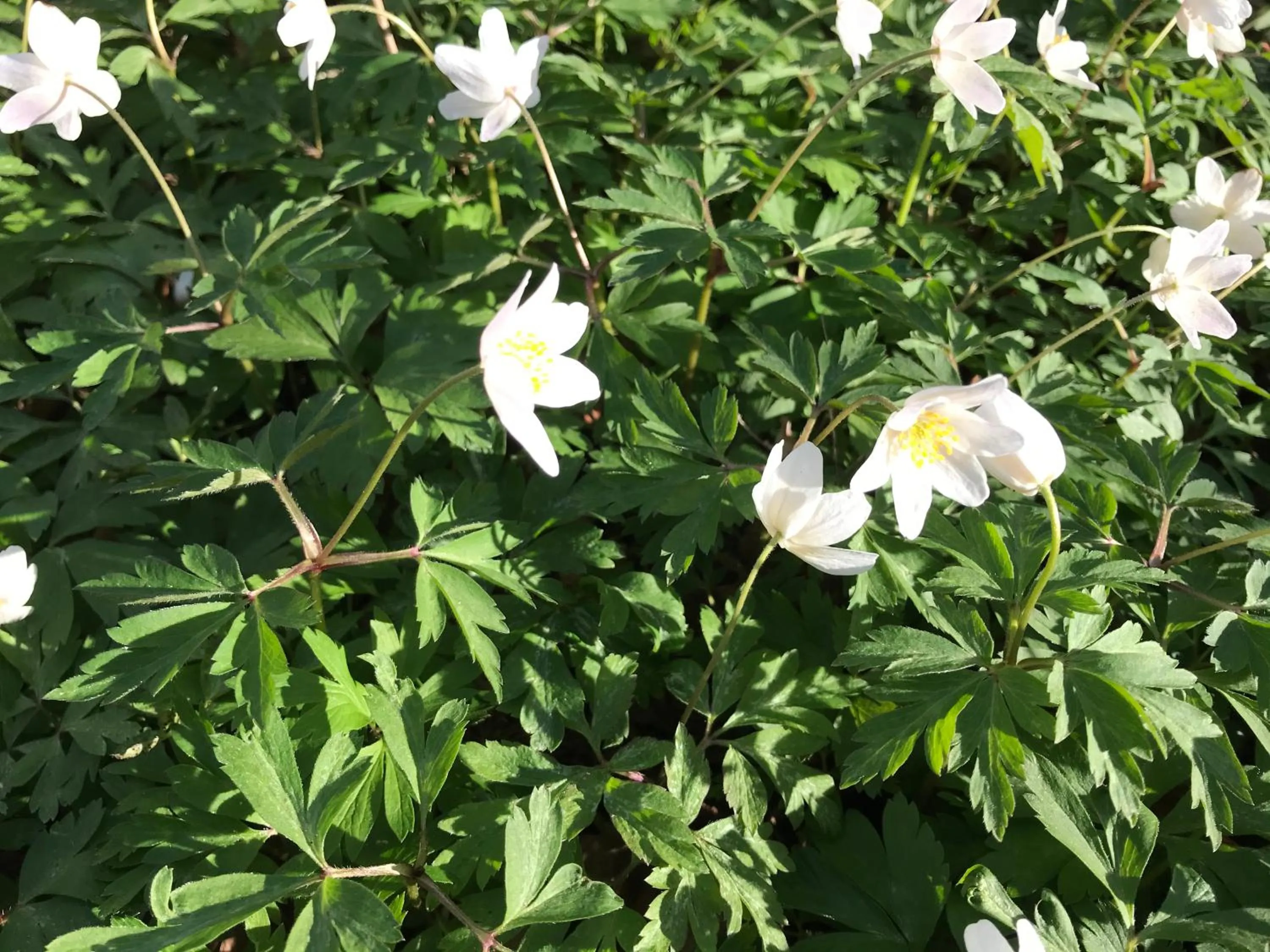 Spring in Hotell Magasin 1