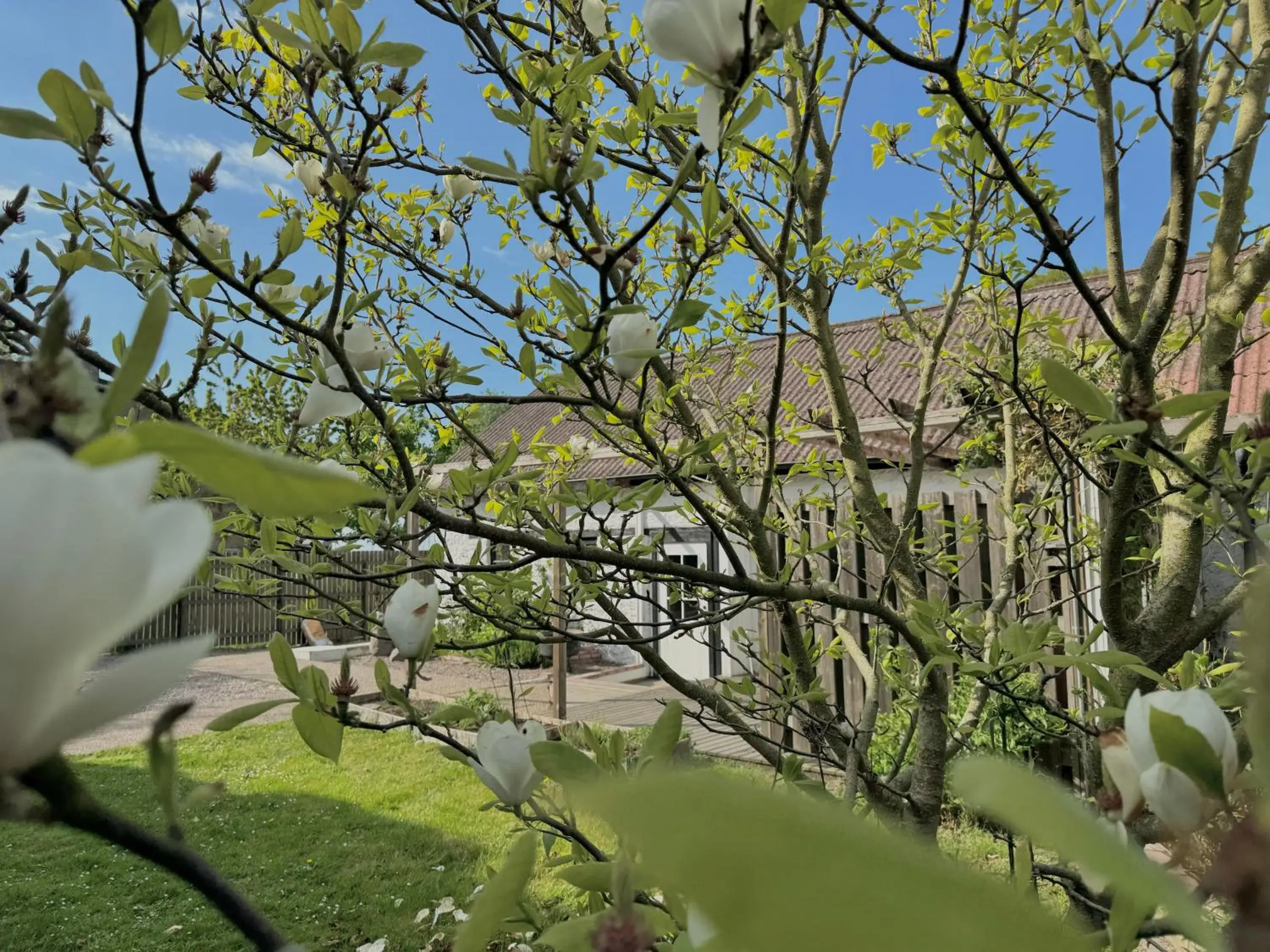 Studio - single occupancy in Hotell Magasin 1 Studio - single occupancy in Hotell Magasin 1