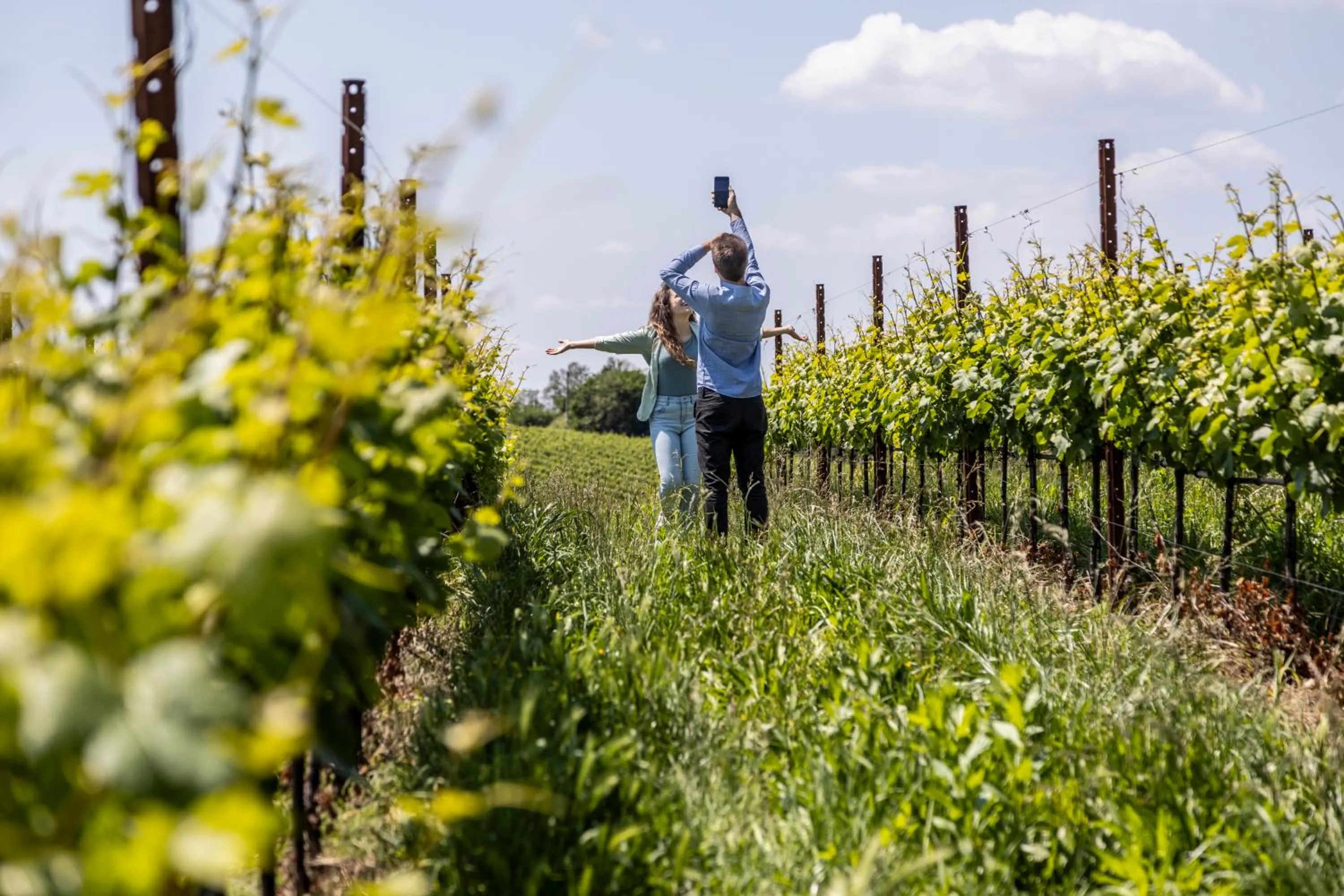 Activities in Hotel Alle Acque