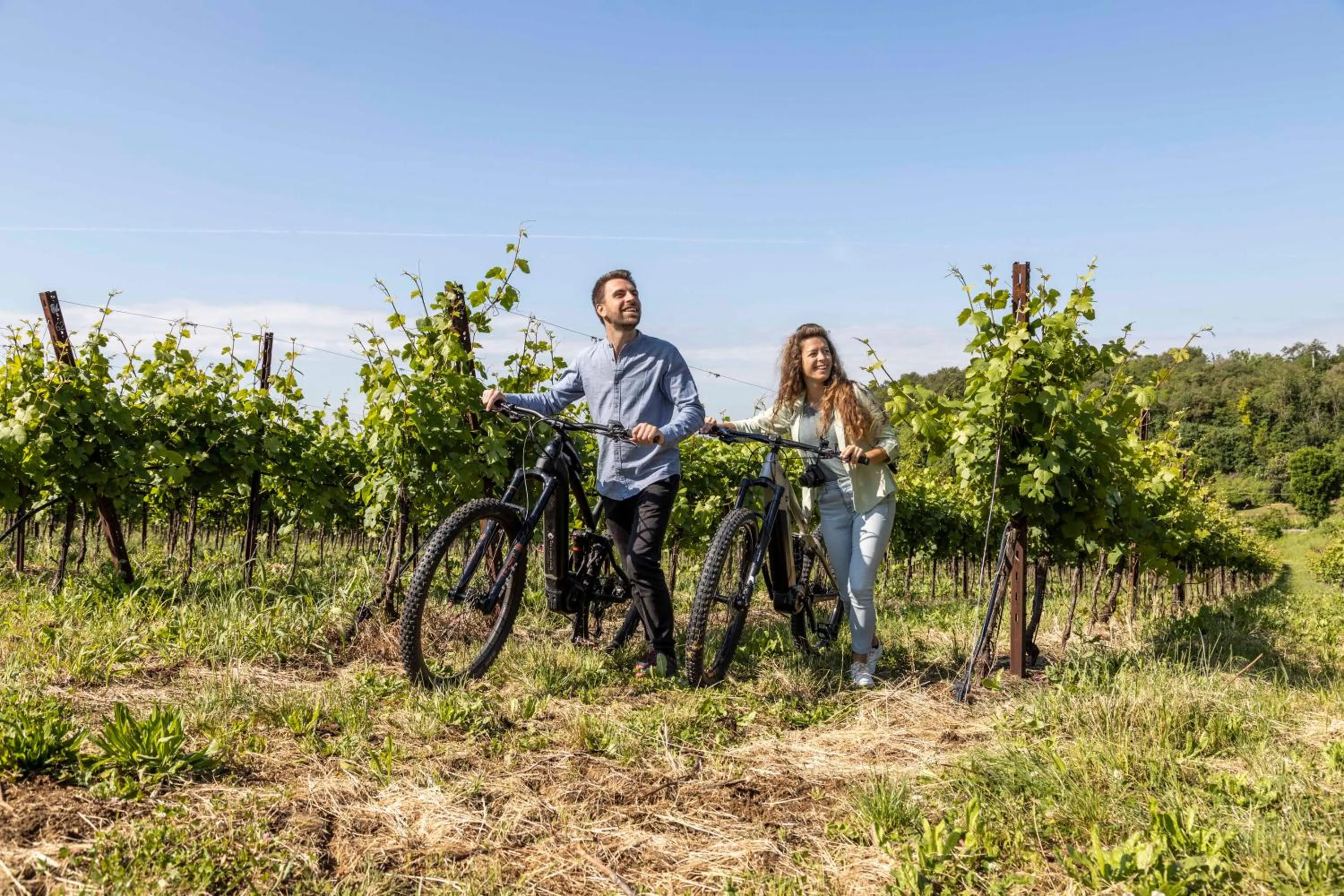 Natural landscape in Hotel Alle Acque