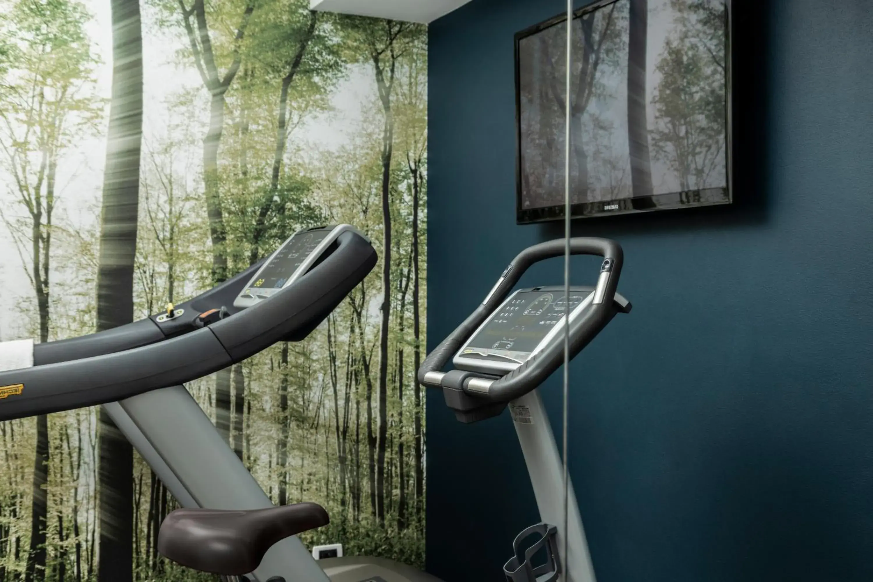 Fitness centre/facilities in Hotel Alle Acque Fitness centre/facilities in Hotel Alle Acque