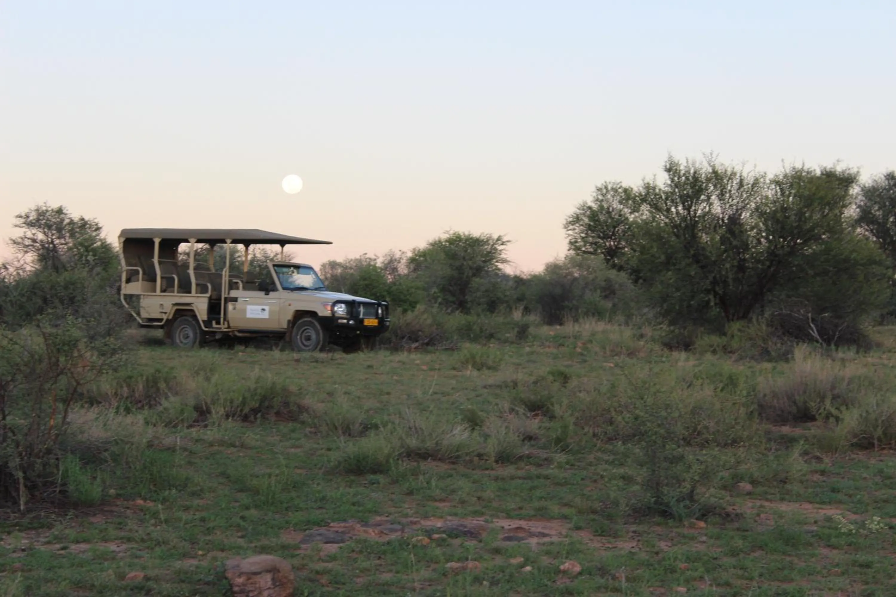 Activities in Auas Safari Lodge