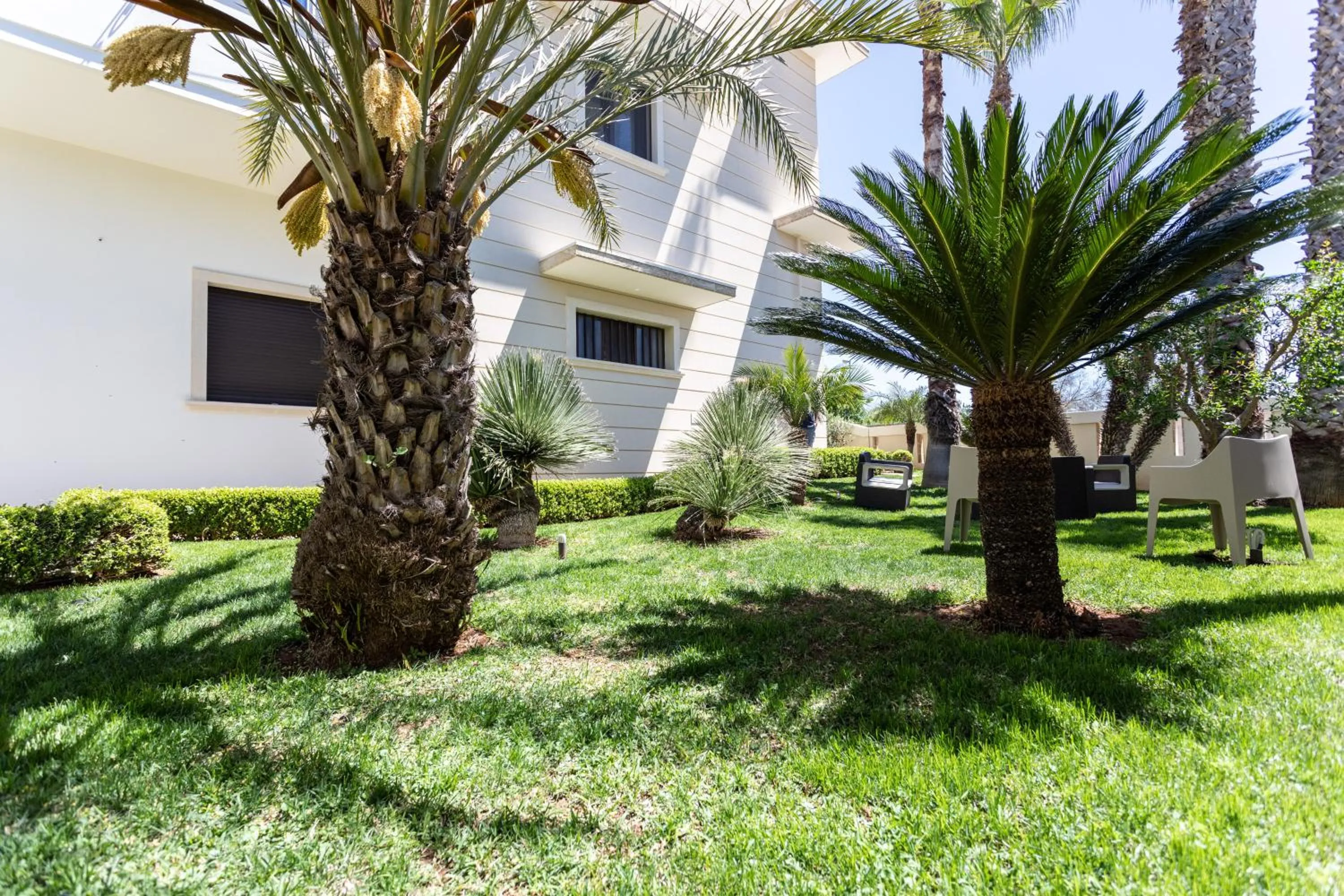 Garden in B&B Domus Japigia