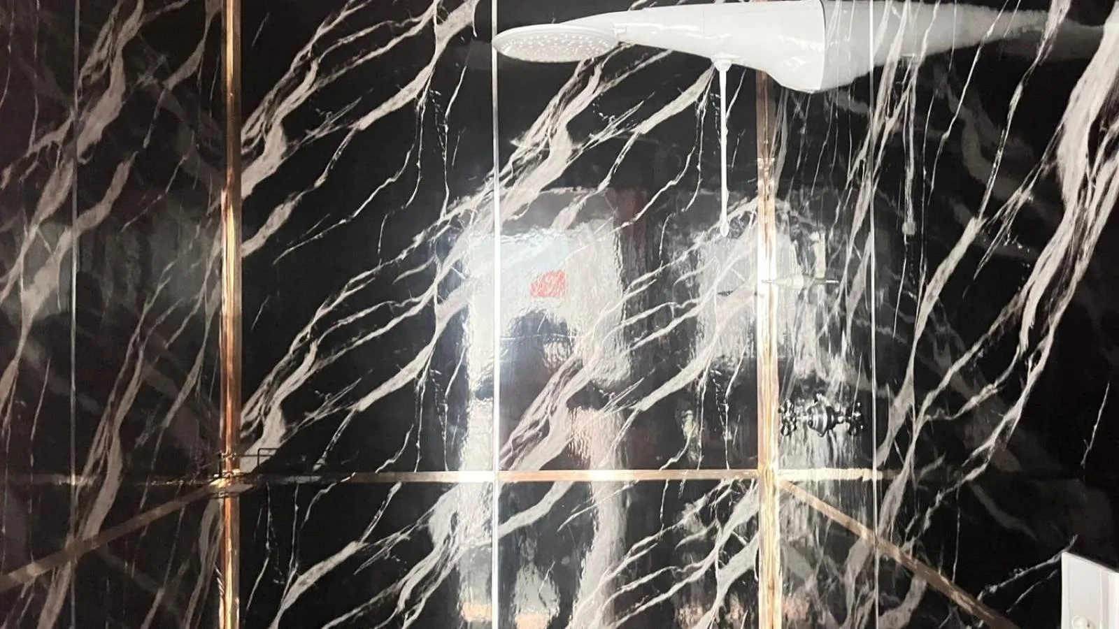 Shower in COACHHOSTEL7