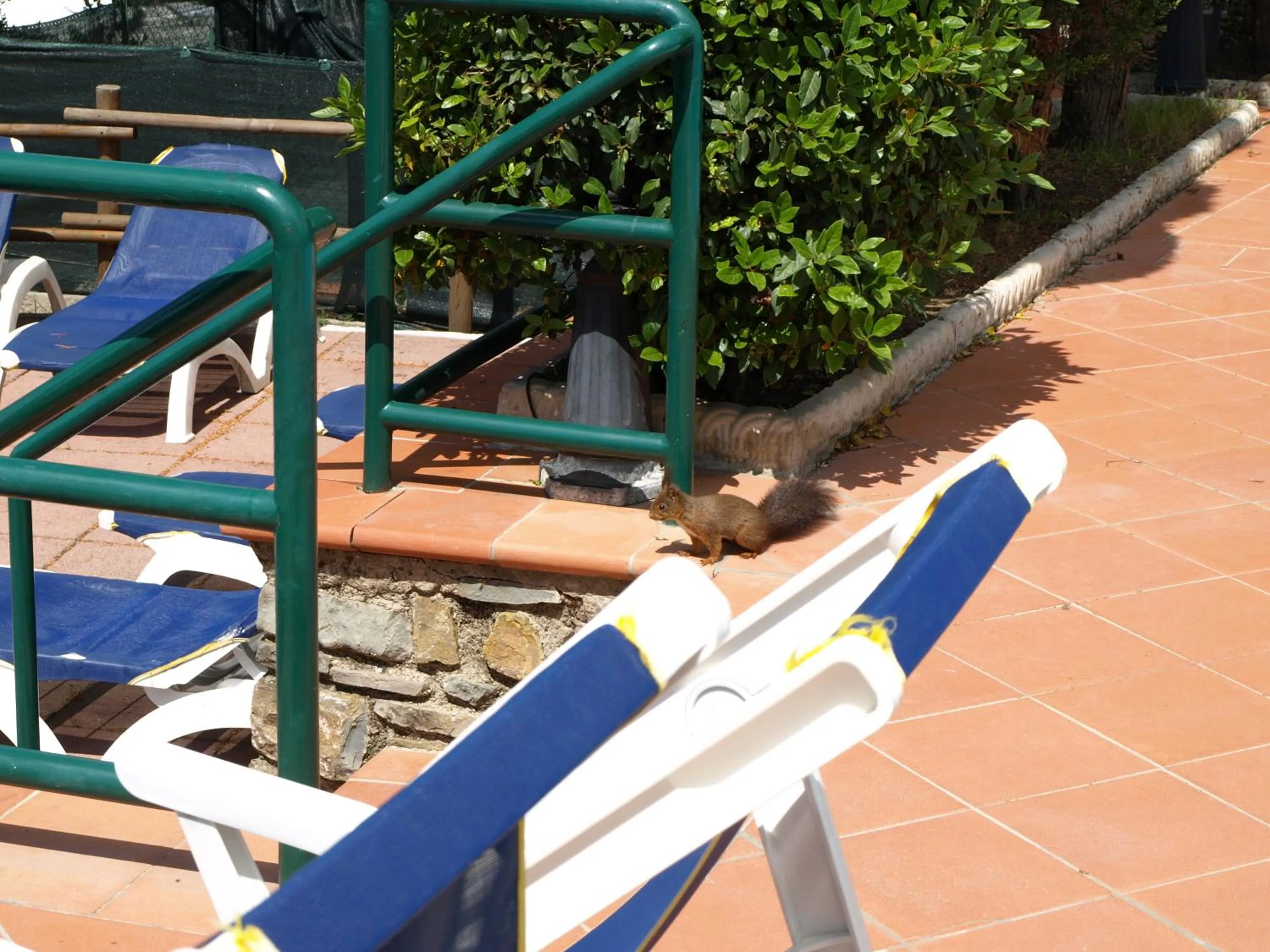 Balcony/Terrace in Camping Village Panoramico Fiesole