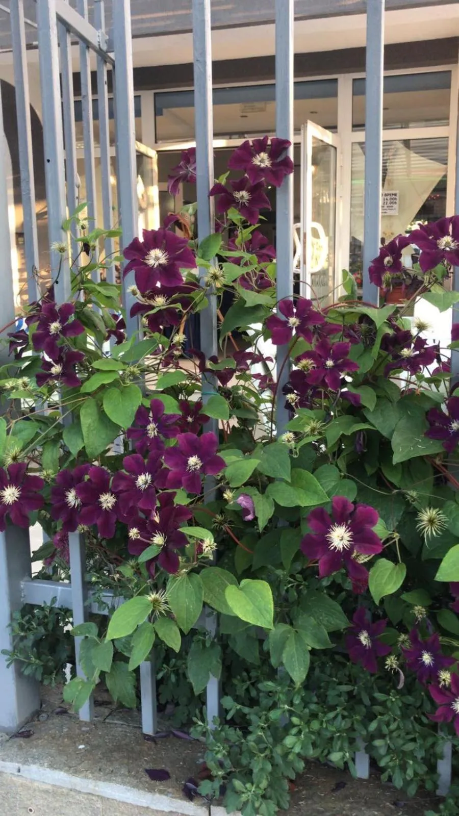 Lilia 2 Family Hotel